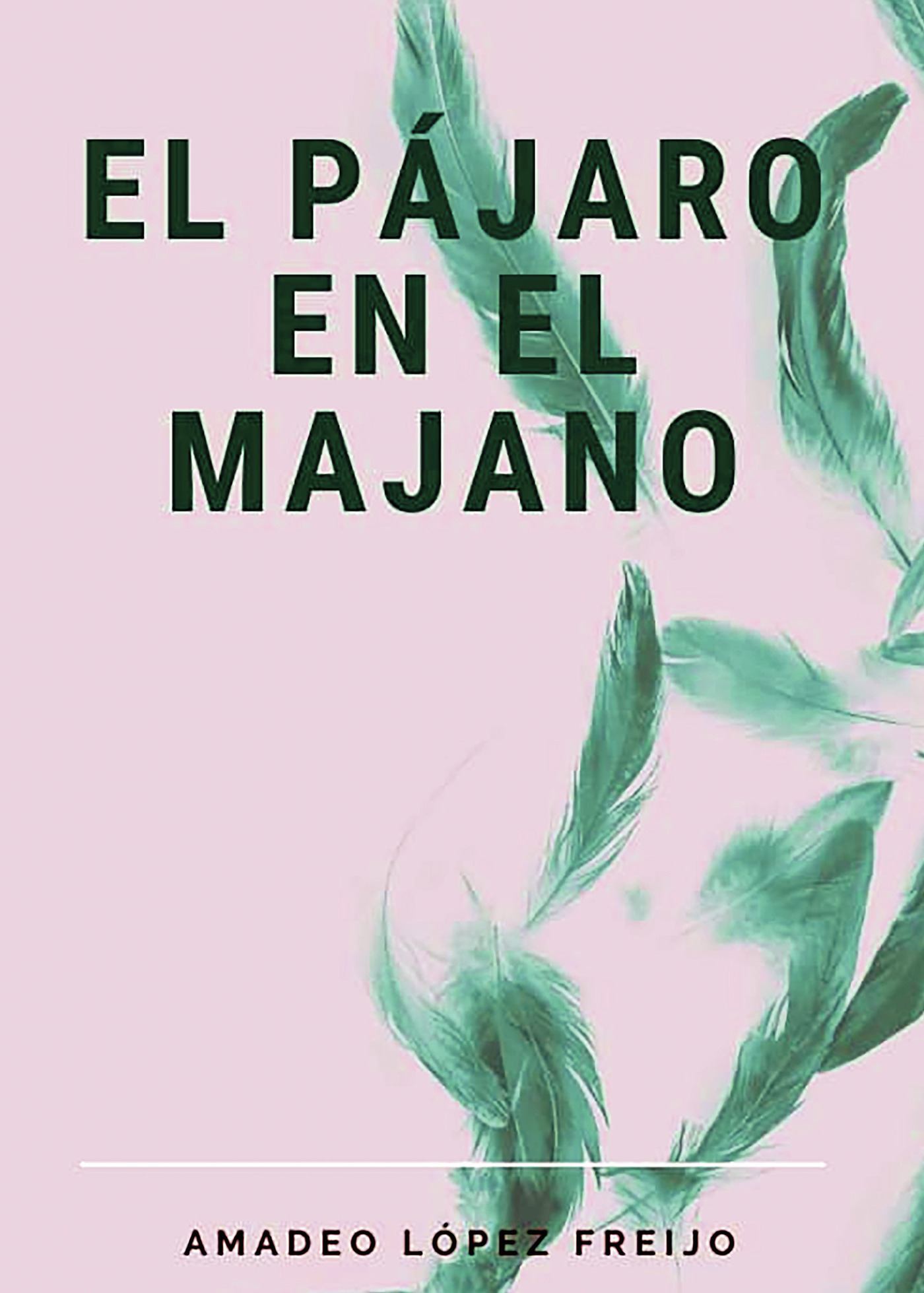 Portada de El pájaro en el majano