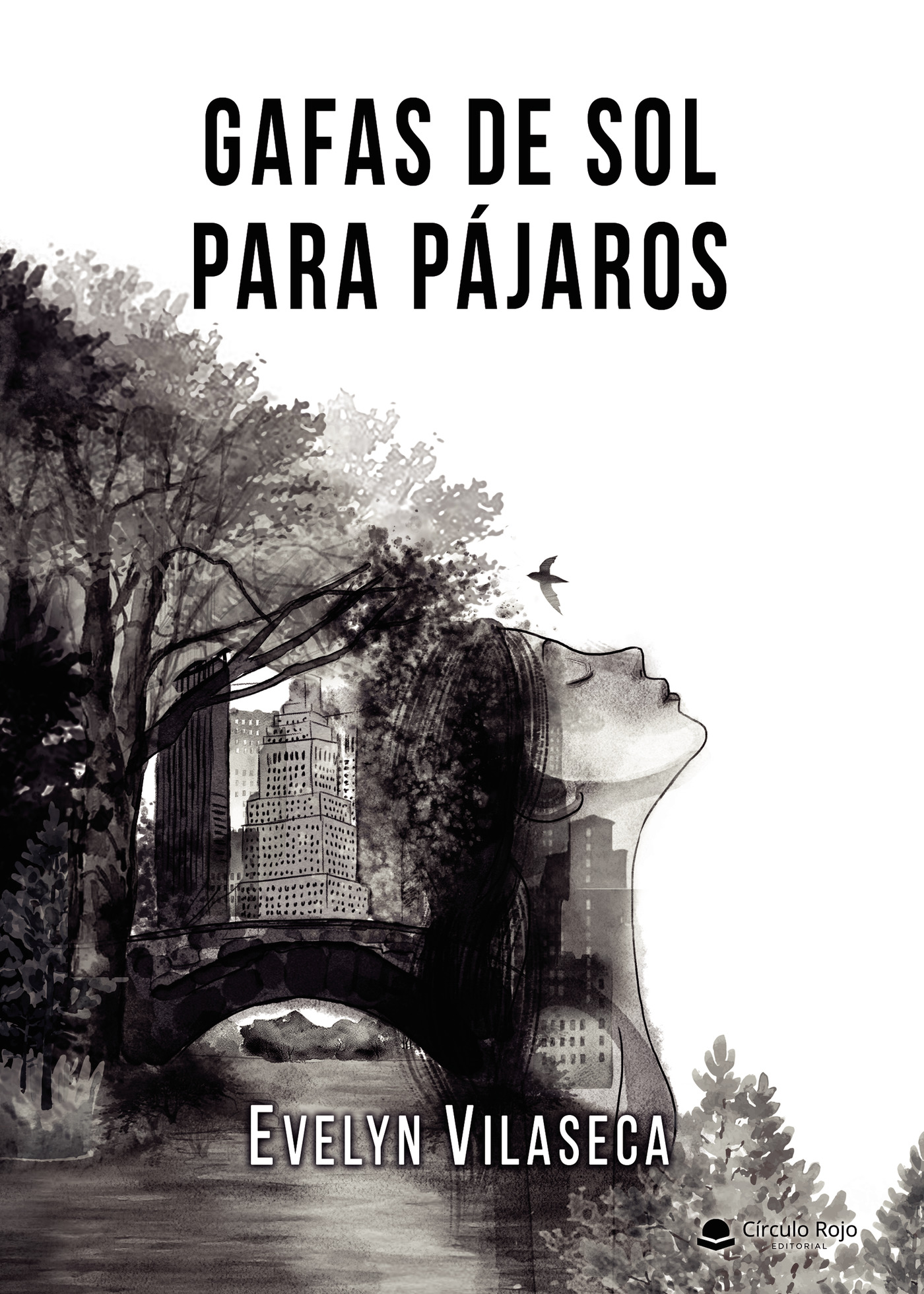 Portada de Gafas de sol para pájaros