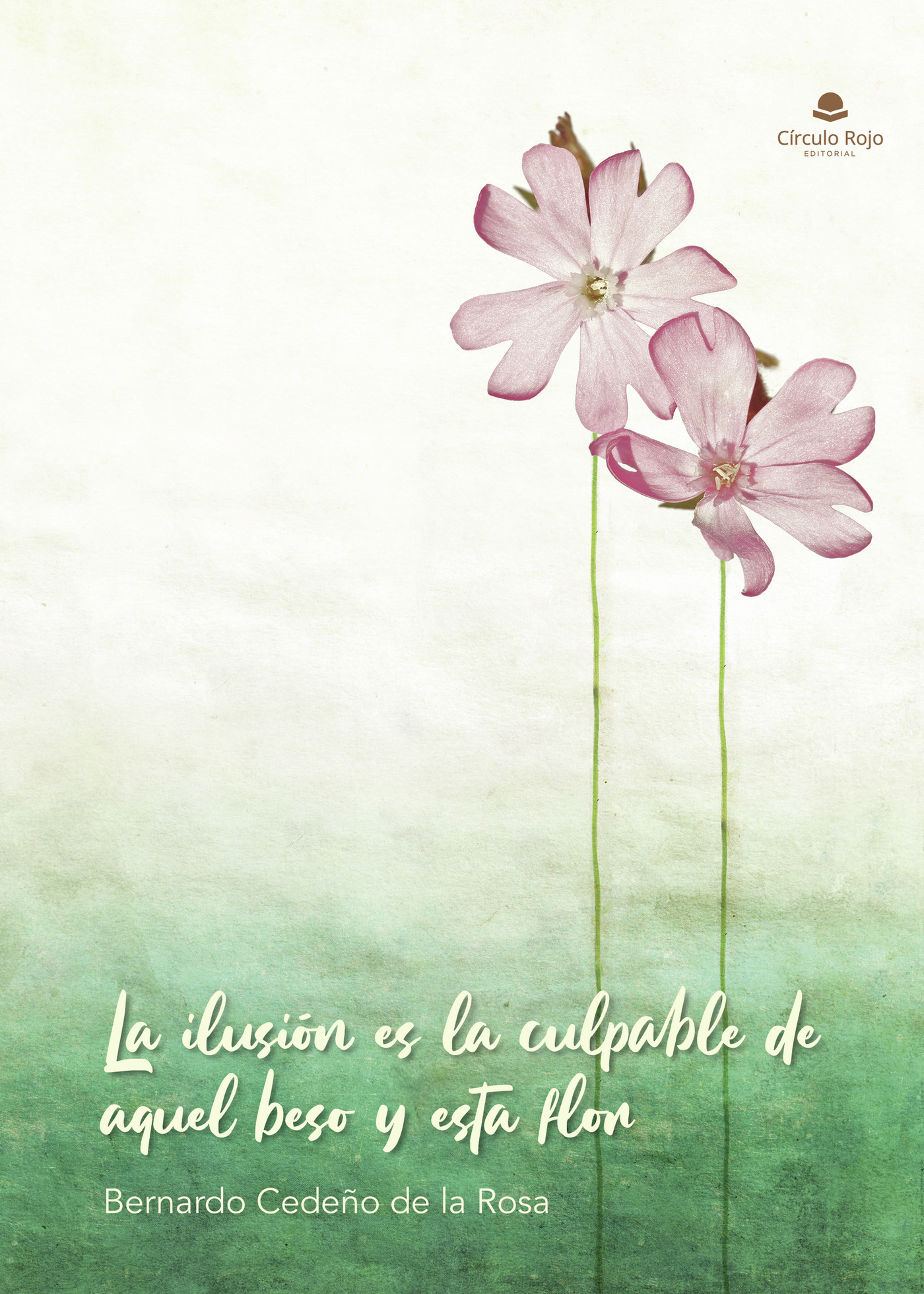 Portada de La ilusión es la culpable de aquel beso y esta flor · Bernardo Cedeño de la Rosa