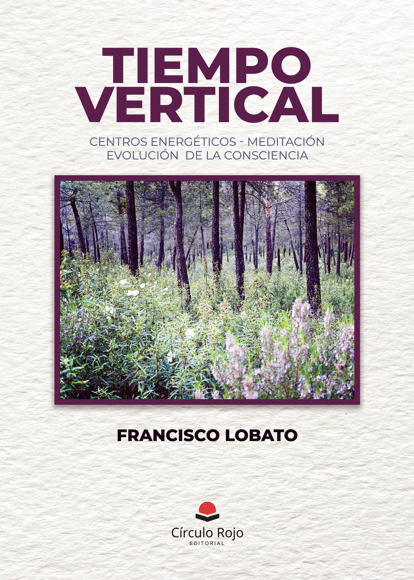 Portada de Tiempo vertical