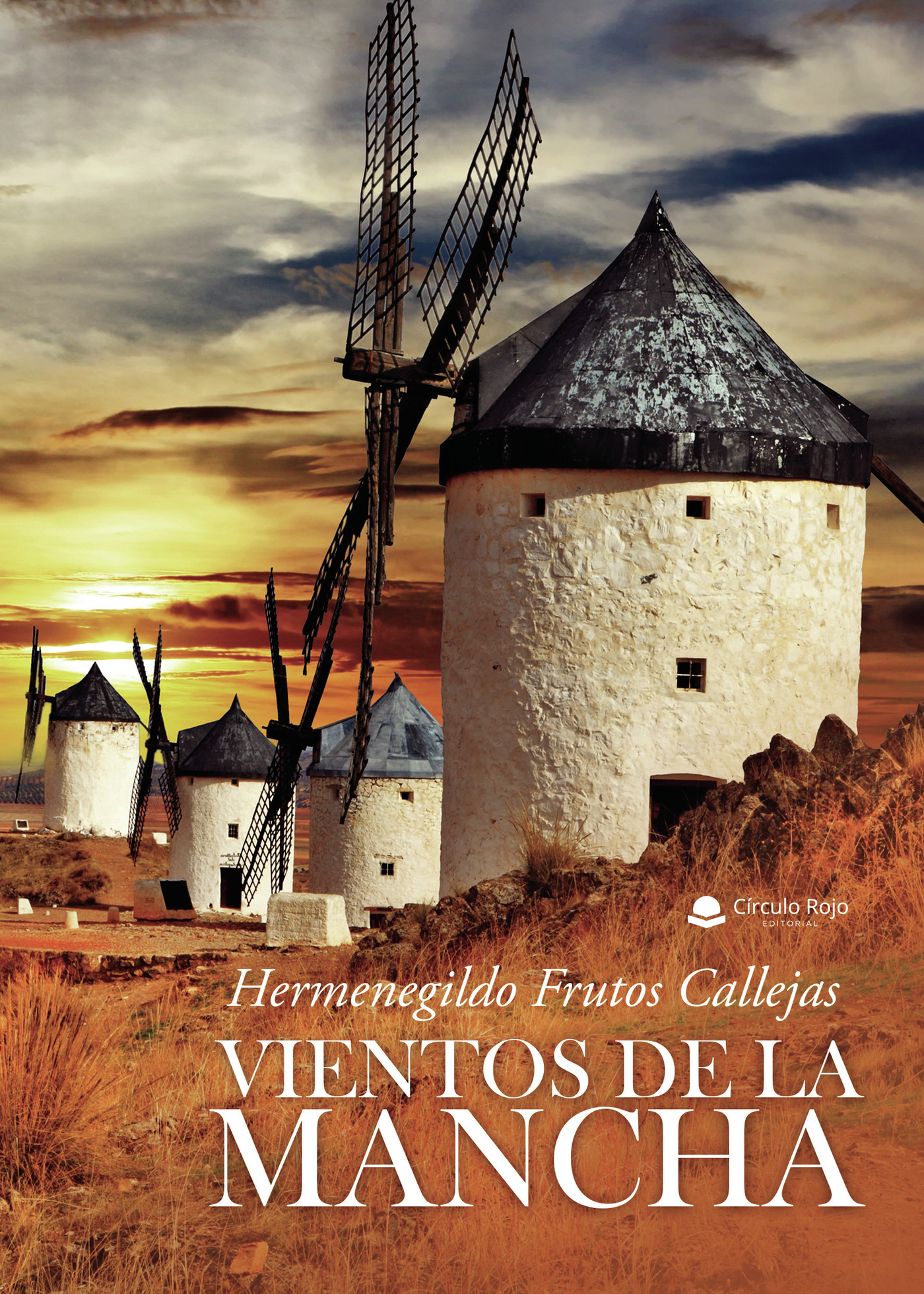 Portada de Vientos de la Mancha