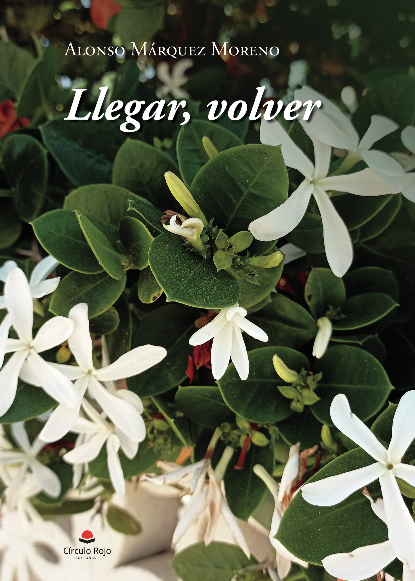 Portada de Llegar, volver