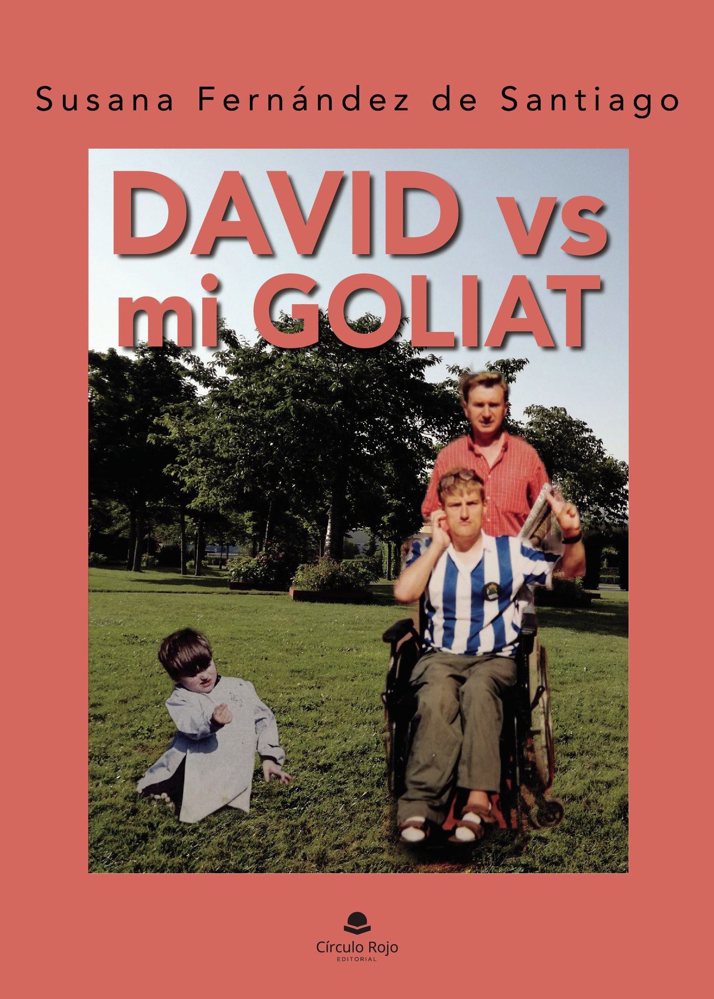 Portada de David vs mi Goliat · Susana Fernández de Santiago