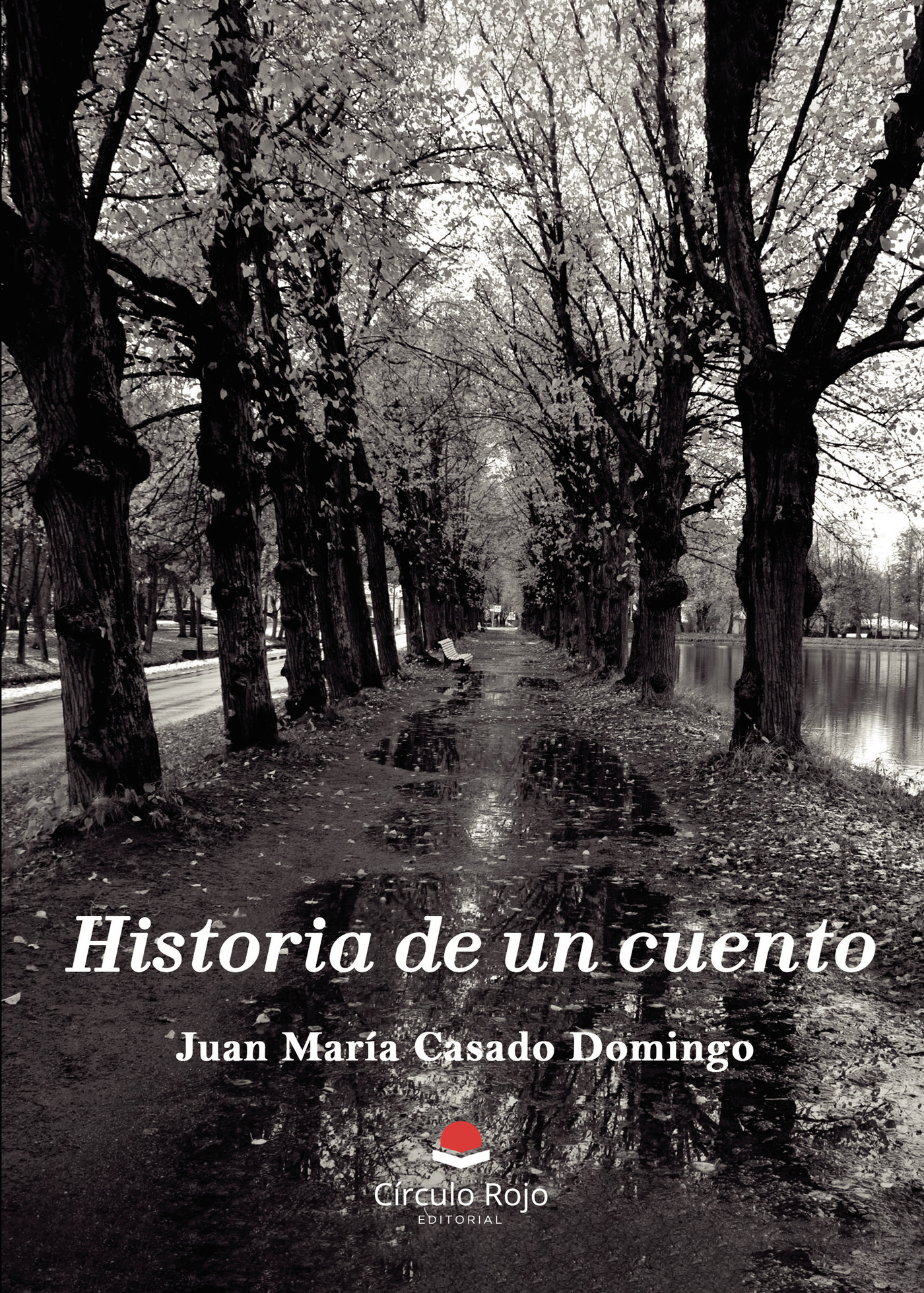 Portada de Historia de un cuento
