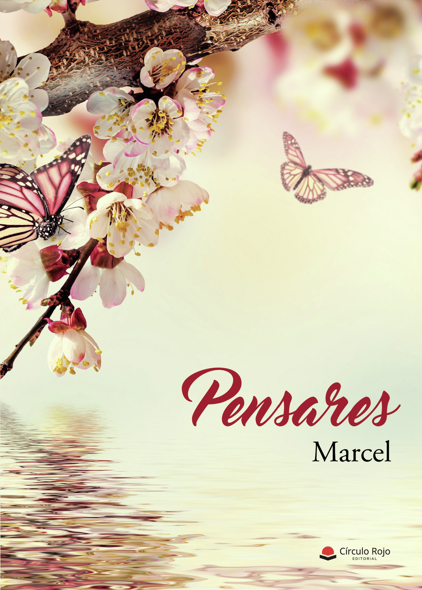 Portada de Pensares