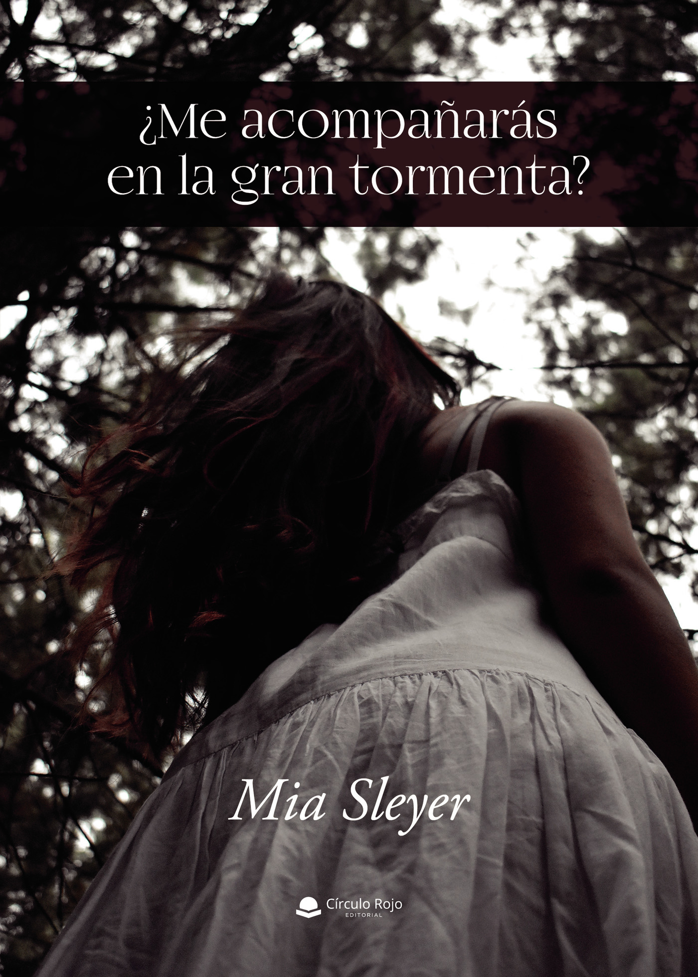 Portada de ¿Me acompañaras en la gran tormenta?