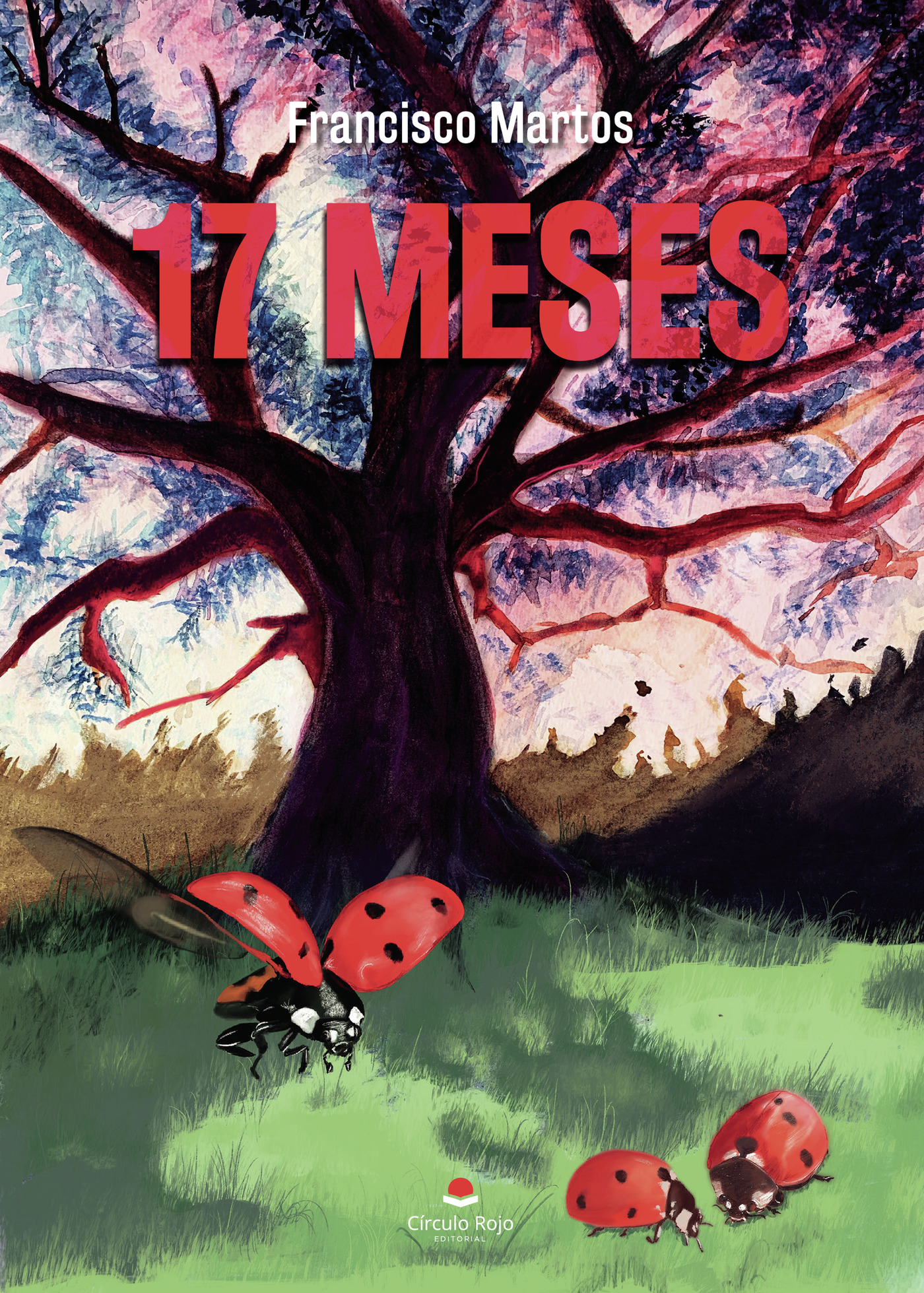 Portada de 17 meses