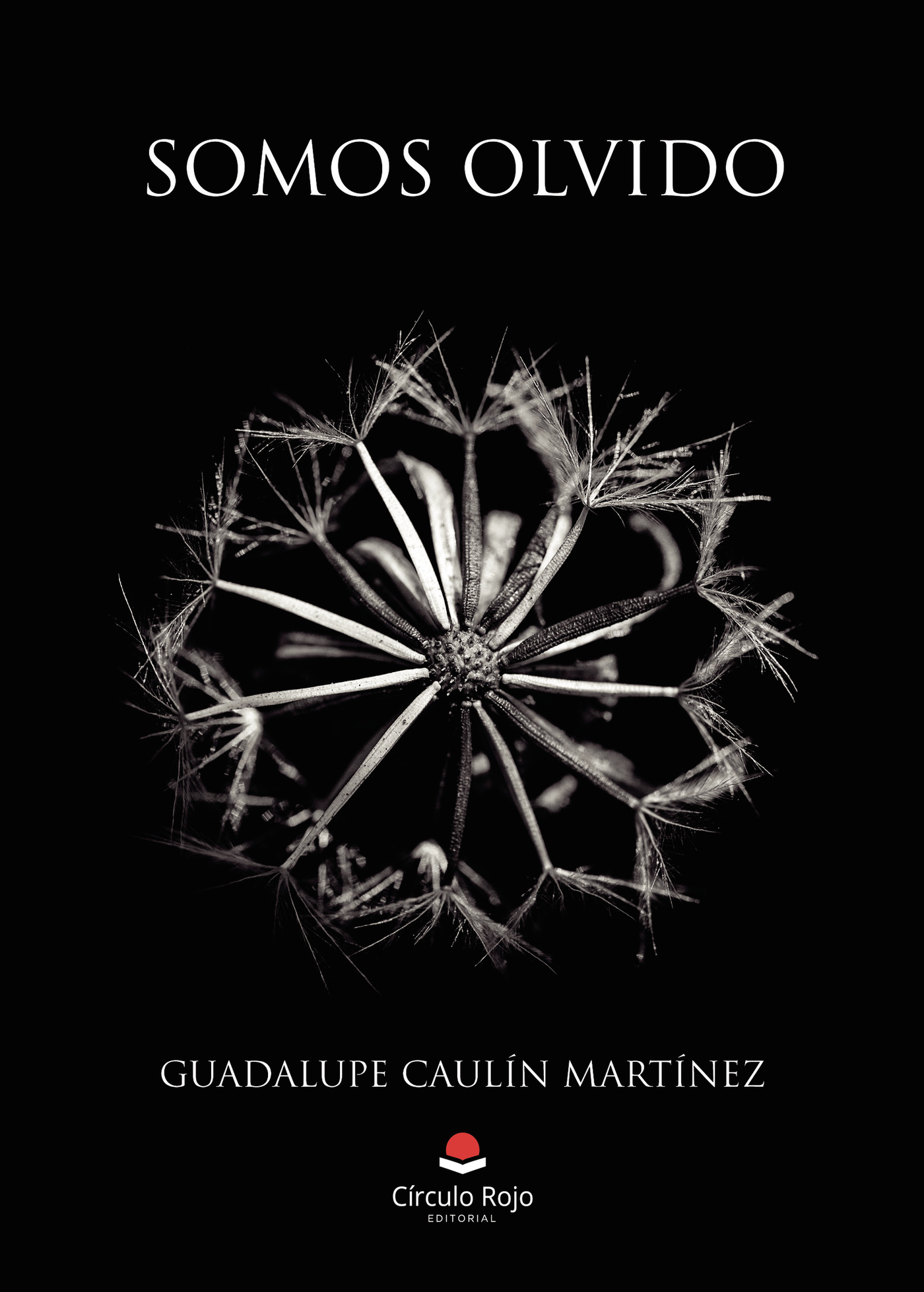Portada de Somos olvido