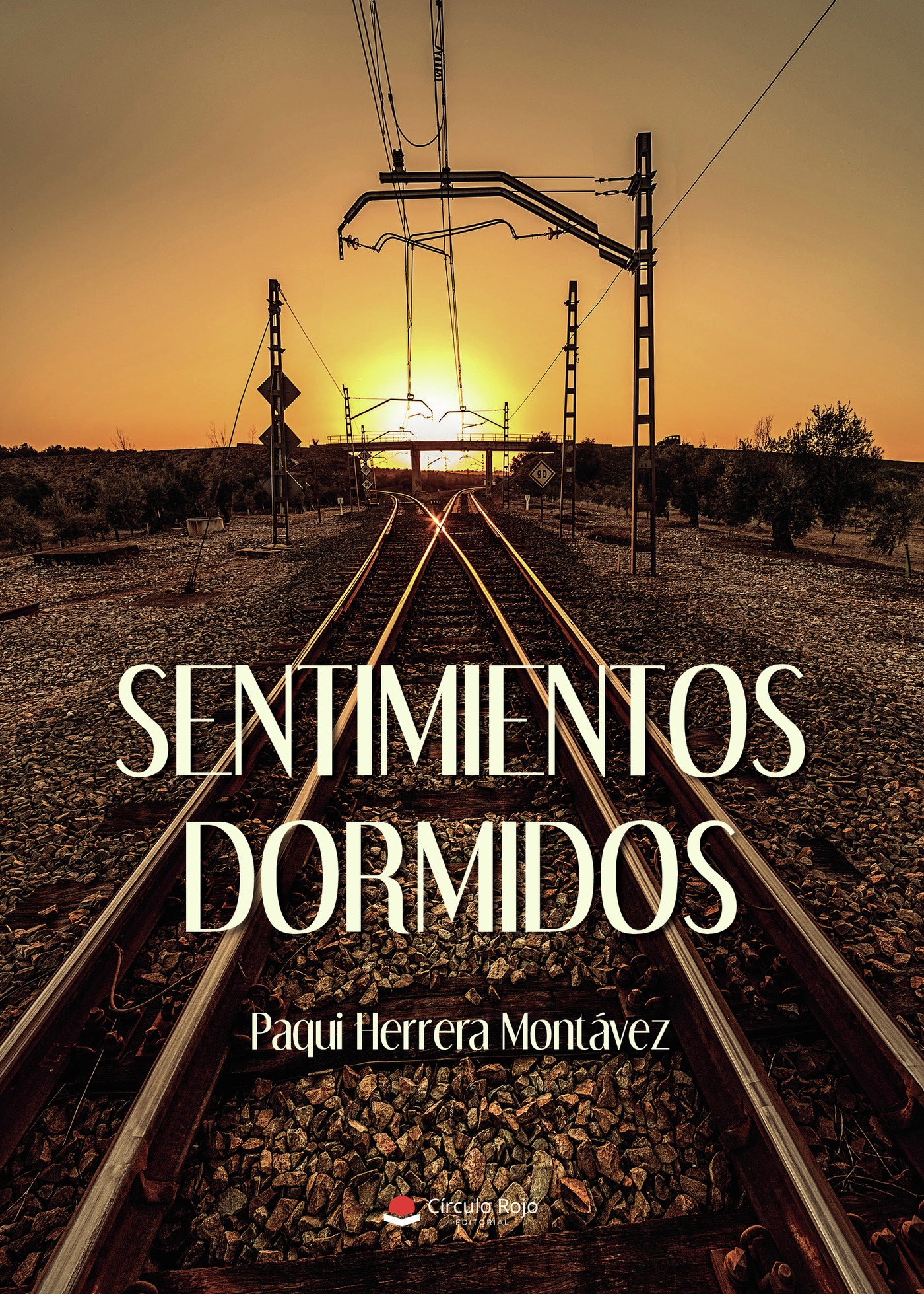 Portada de Sentimientos dormidos