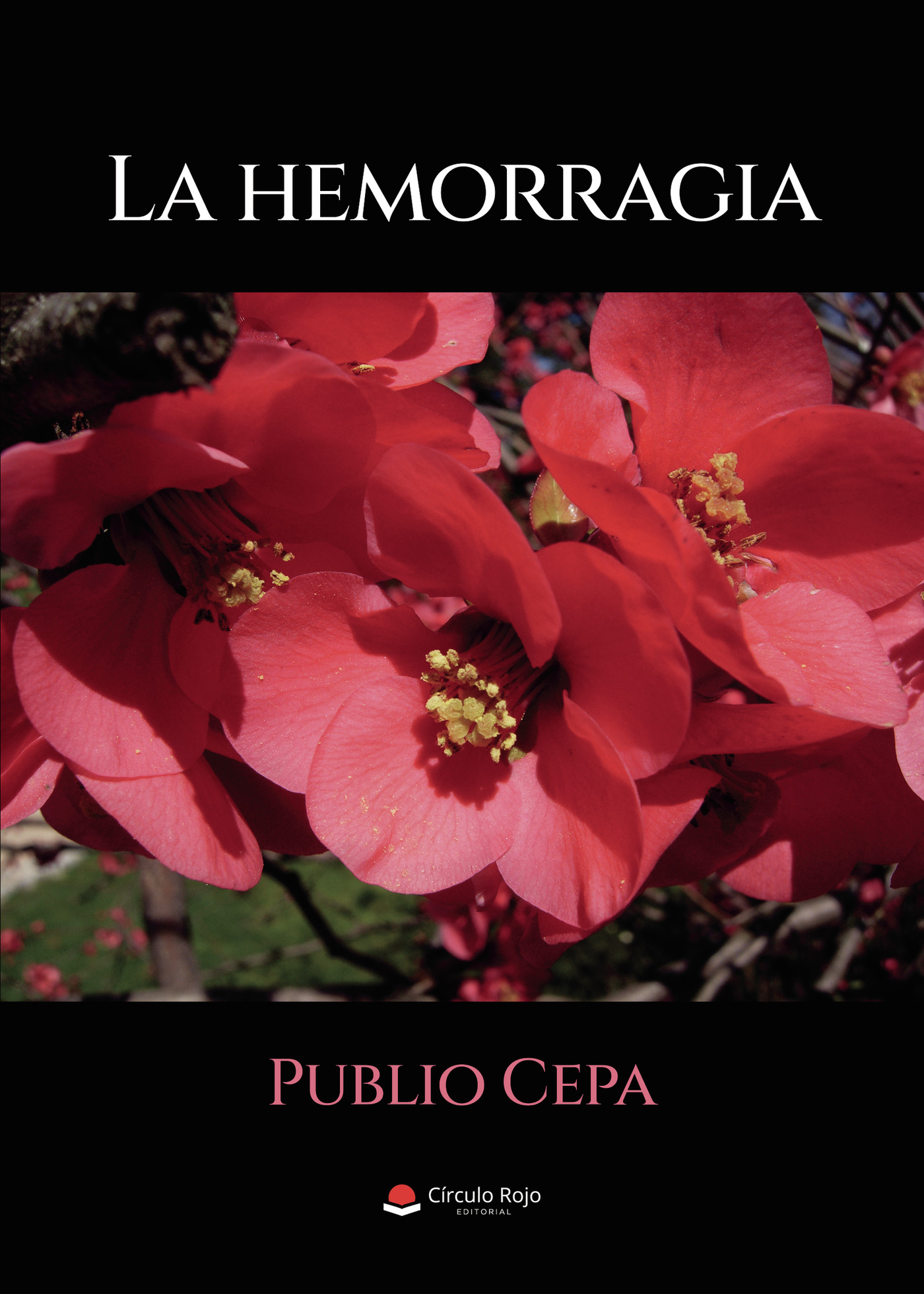 Portada de La hemorragia