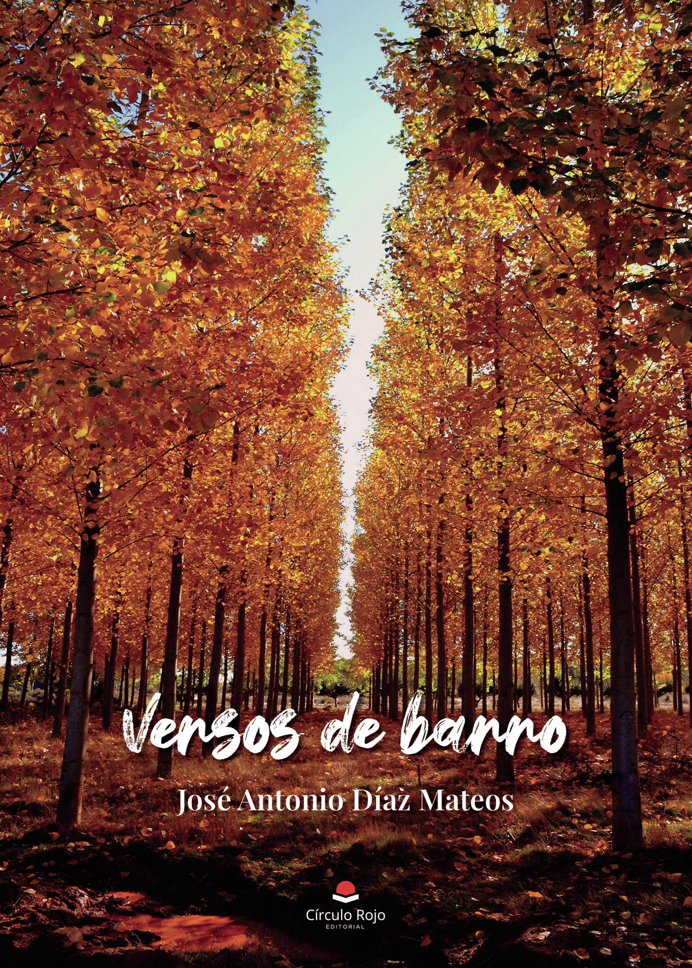 Portada de Versos de barro · José Antonio Díaz Mateos