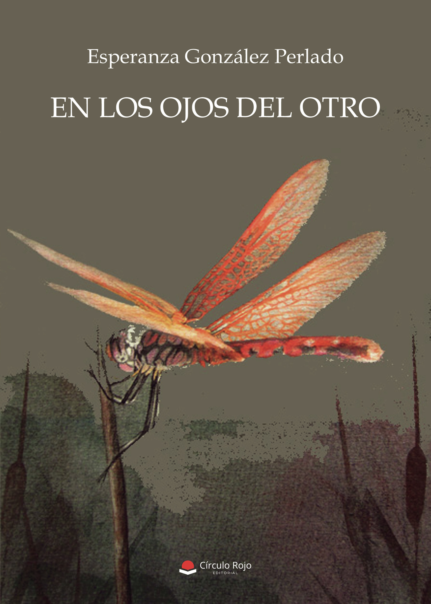 Portada de En los ojos del otro · Esperanza González Perlado