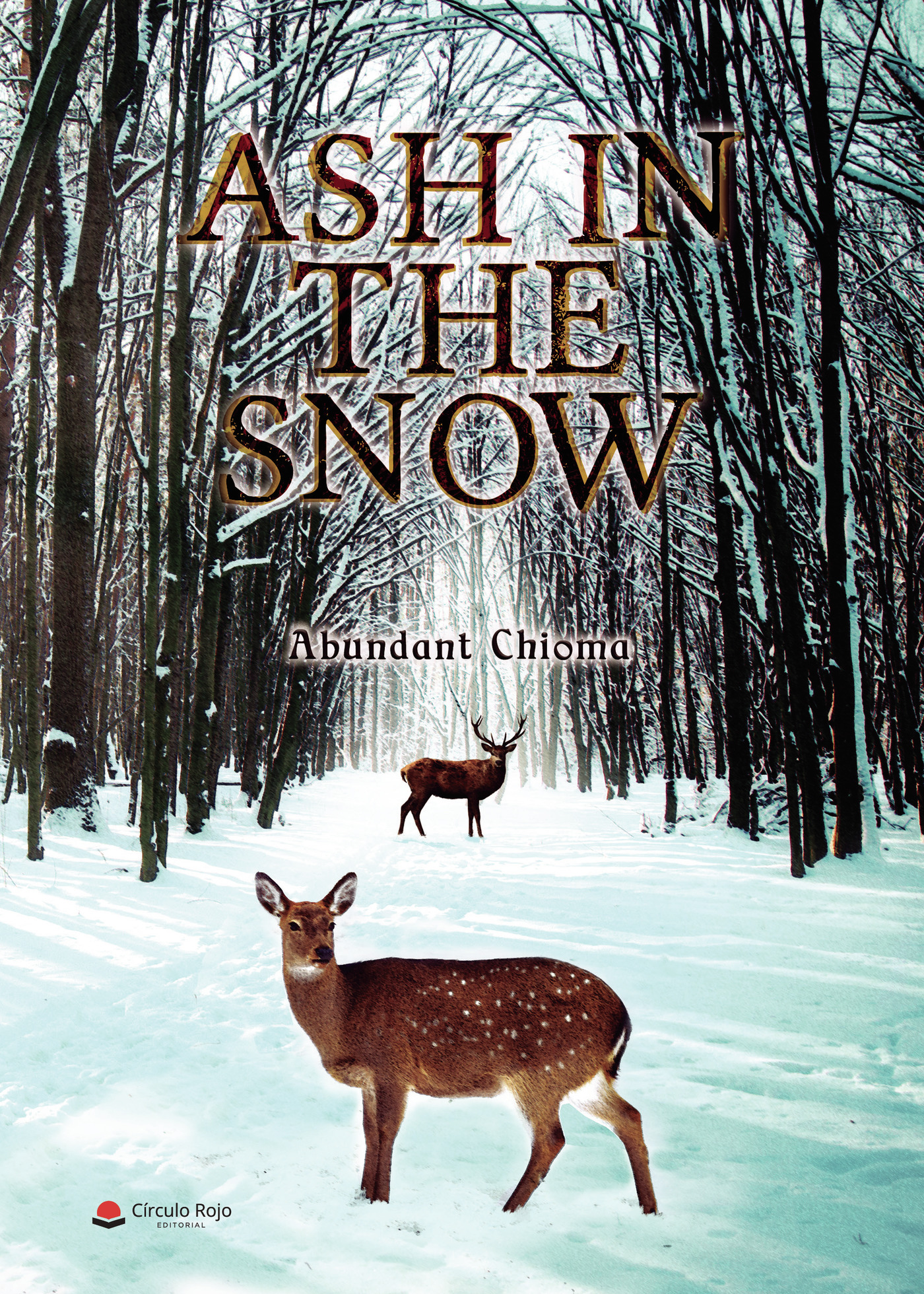 Portada de Ash in the snow
