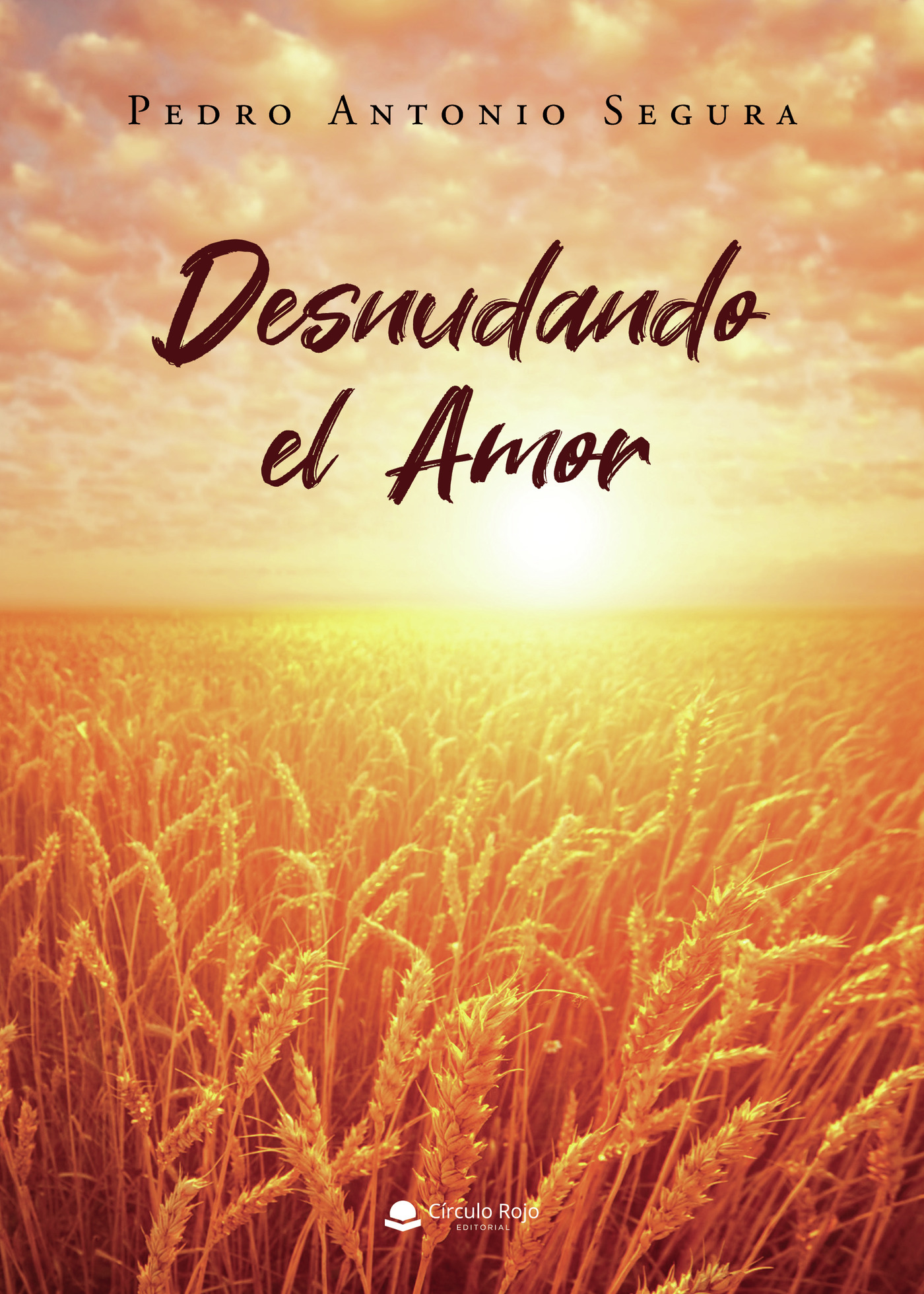 Portada de Desnudando el amor