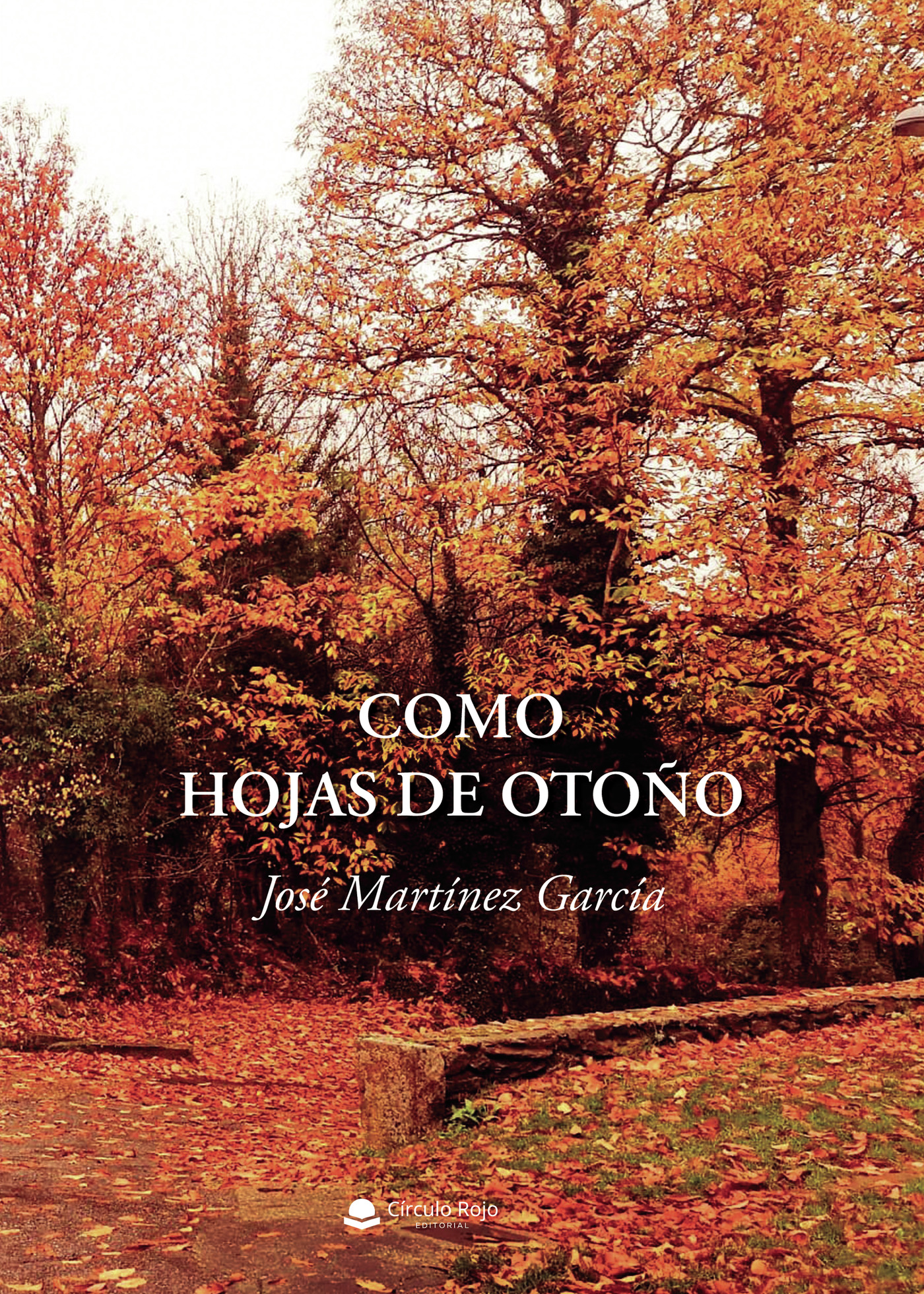 Portada de Como hojas de otoño