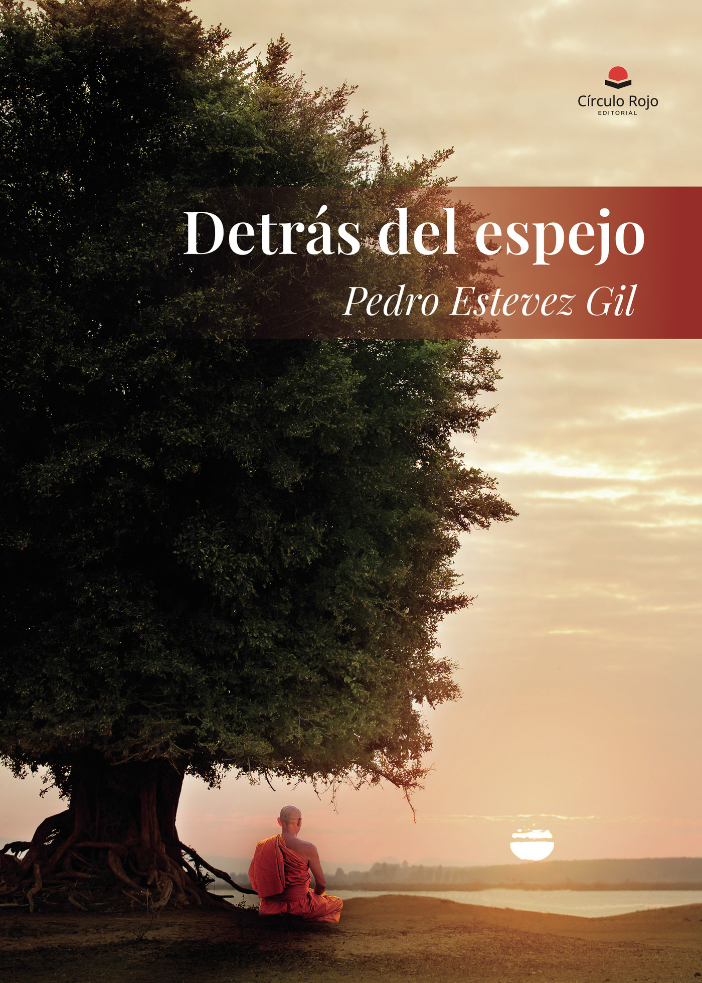 Portada de Detrás del espejo