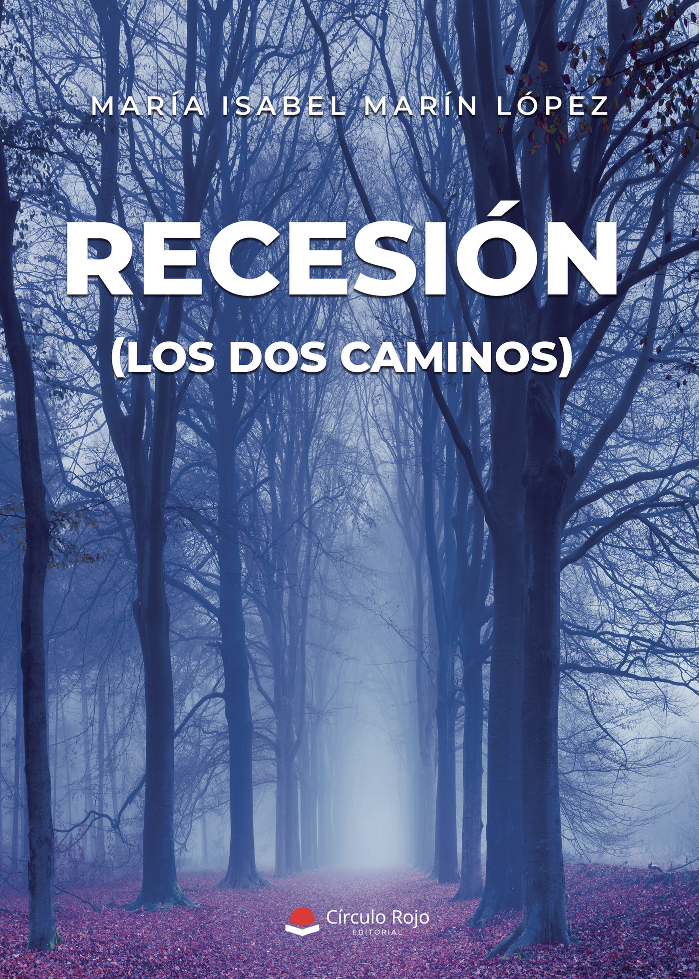 Portada de RECESIÓN (los dos caminos)