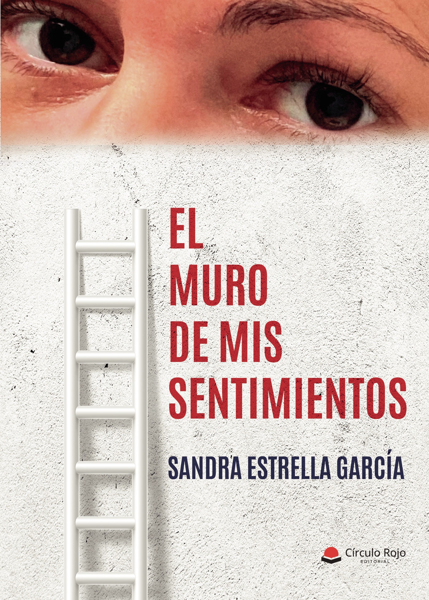 Portada de El muro de mis sentimientos