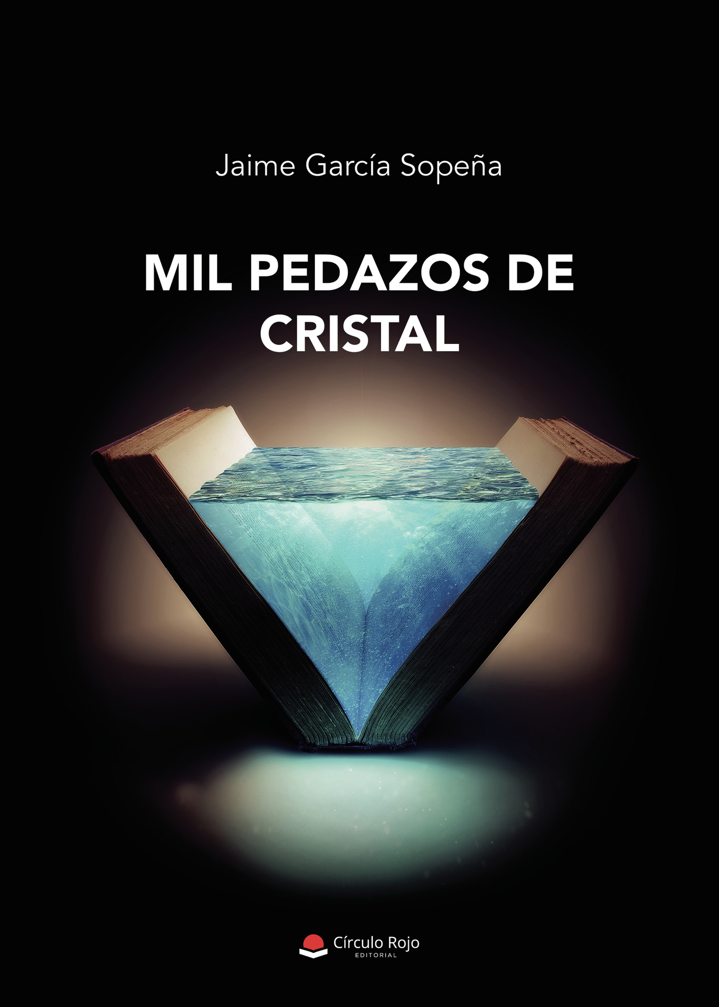 Portada de Mil pedazos de cristal