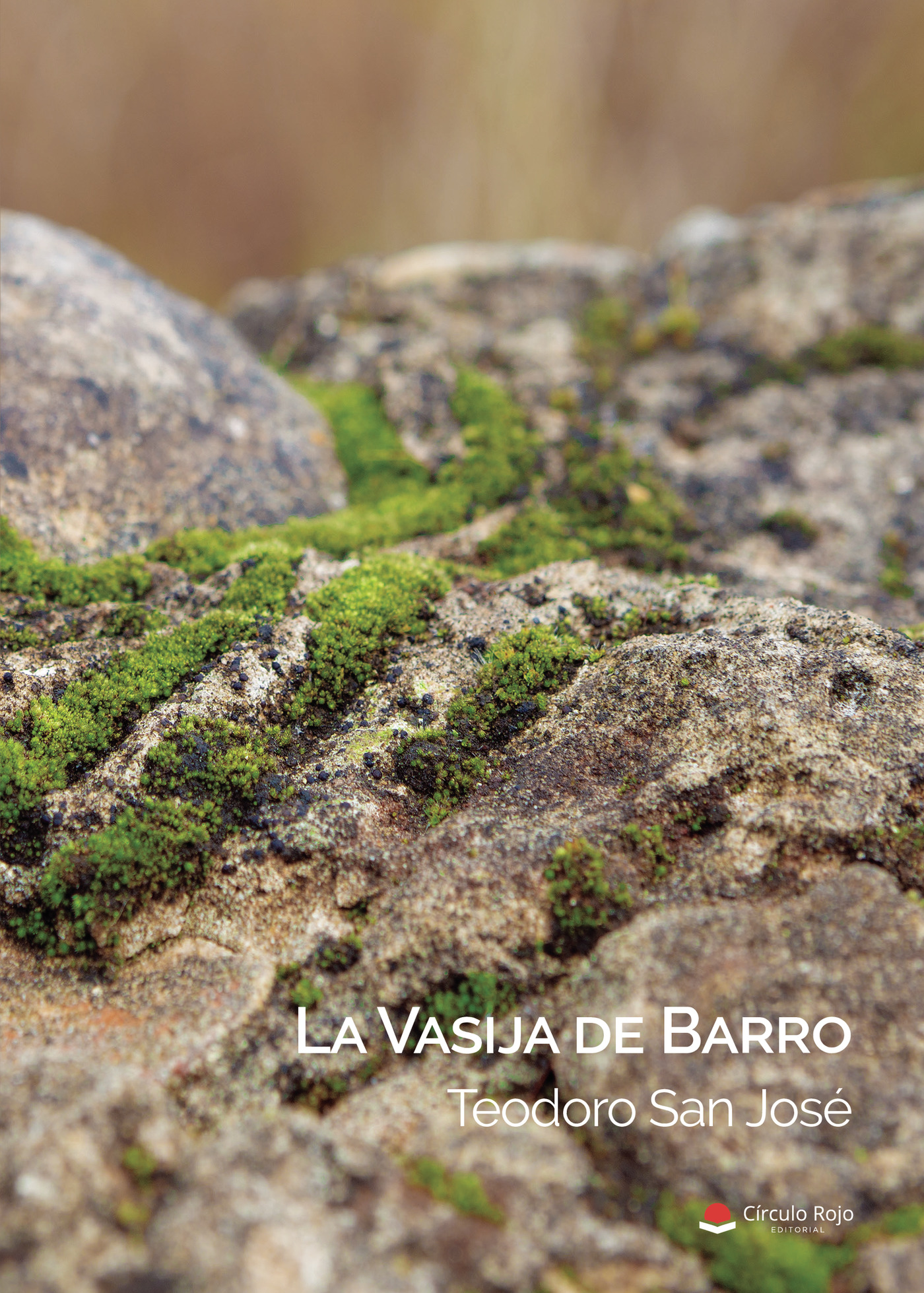 Portada de La vasija de Barro · Teodoro San Jose