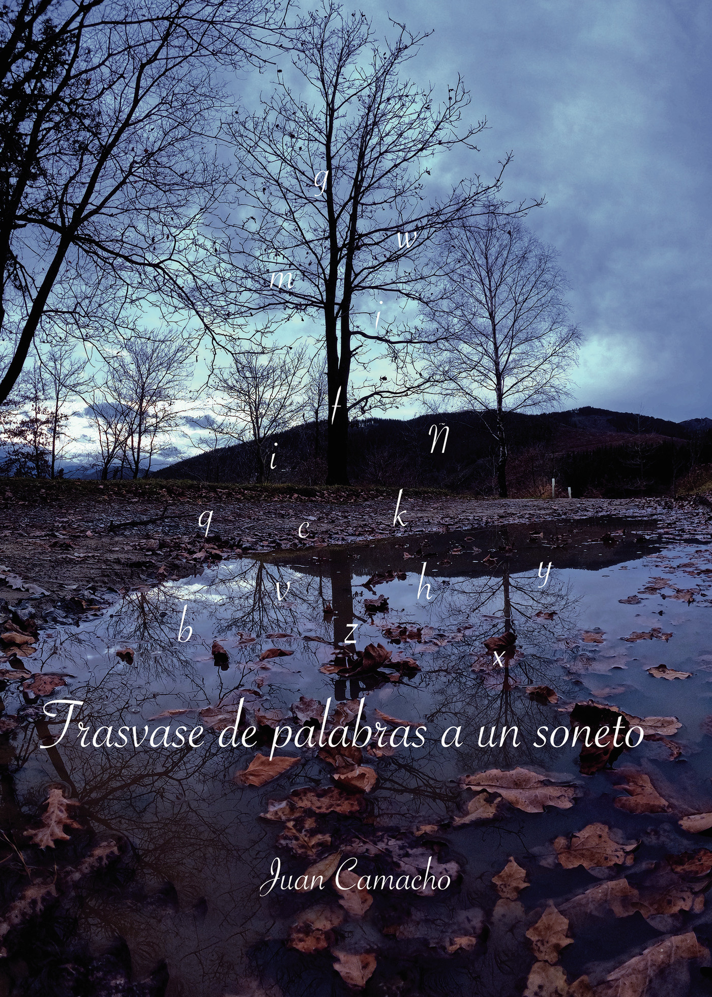 Portada de Trasvase de palabras a un soneto