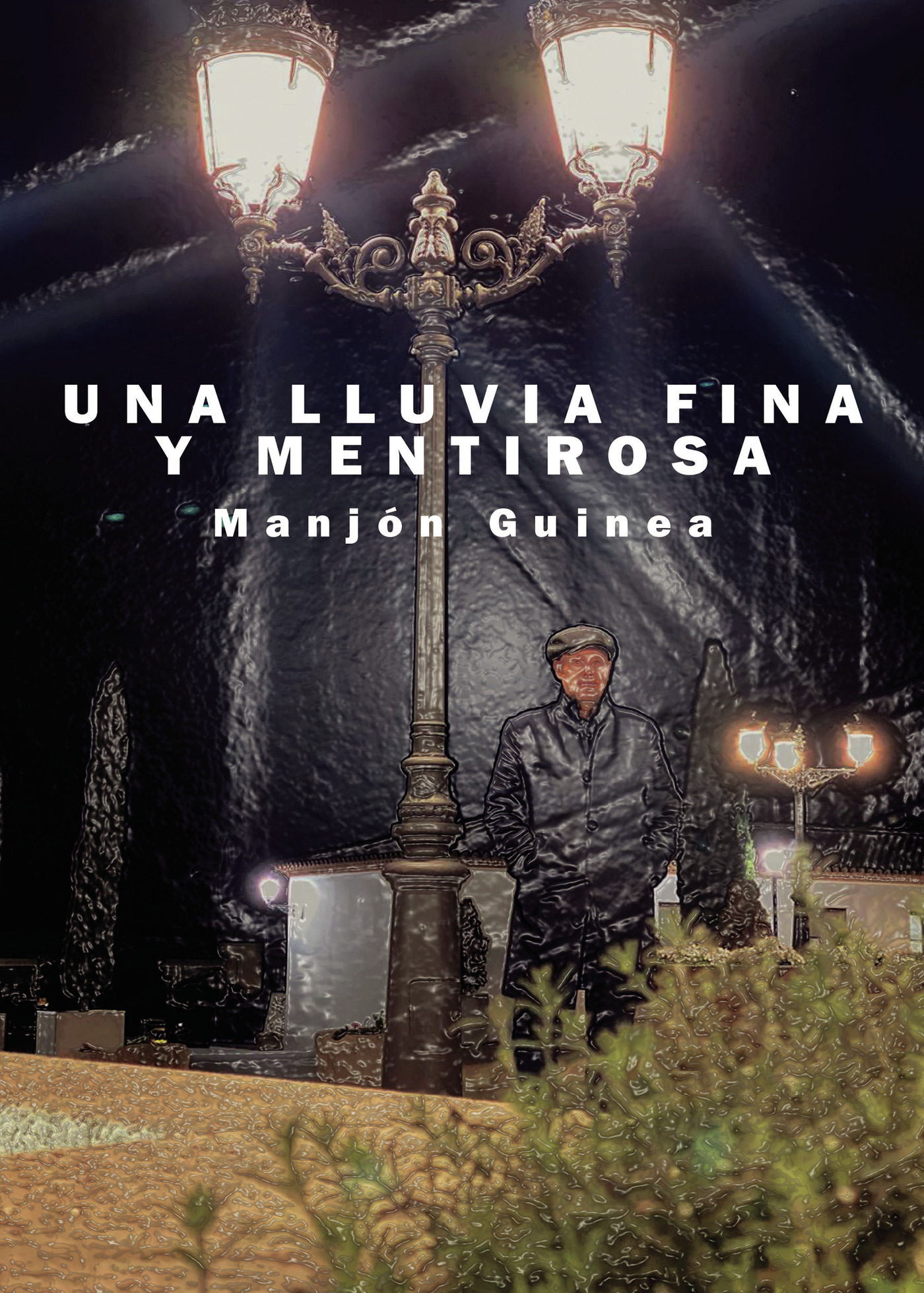 Portada de Una lluvia fina y mentirosa