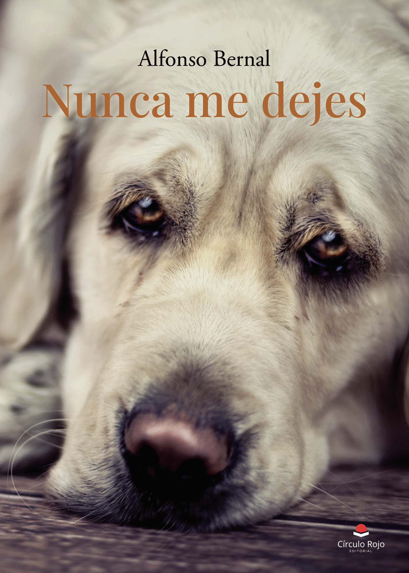 Portada de Nunca me dejes
