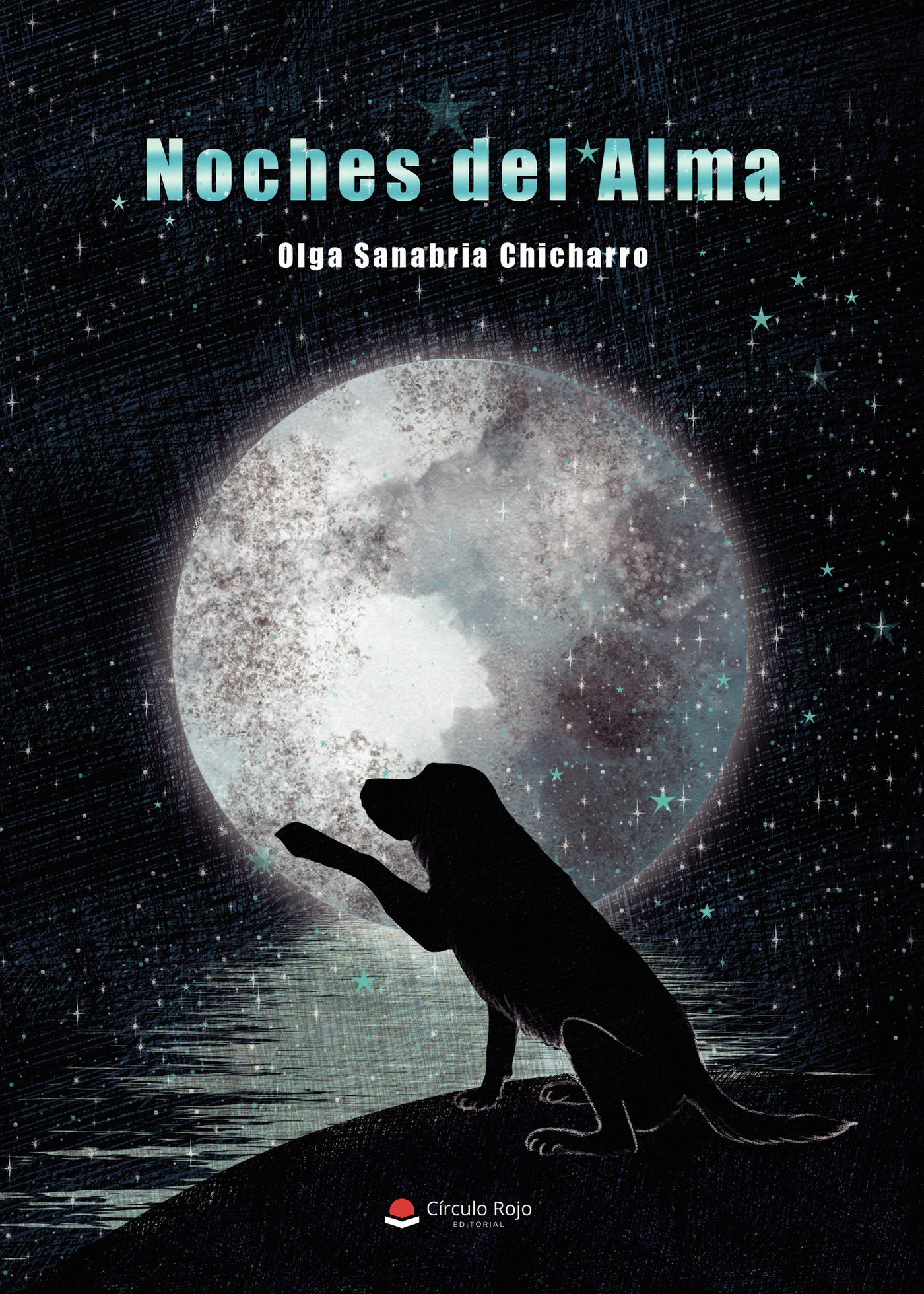 Portada de Noches del alma