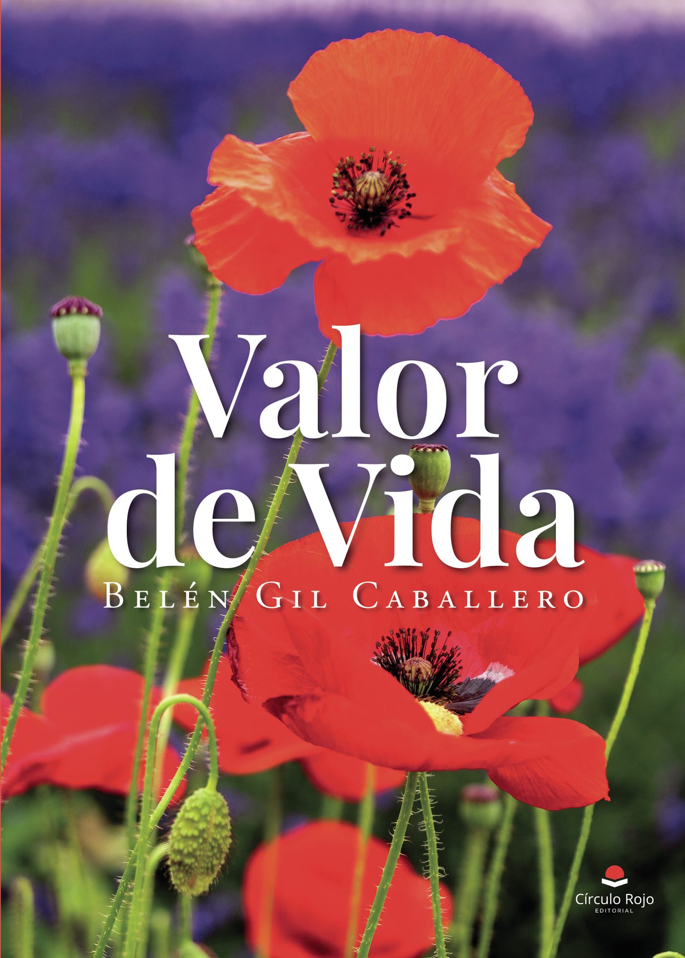 Portada de Valor de vida · Belén Gil Caballero
