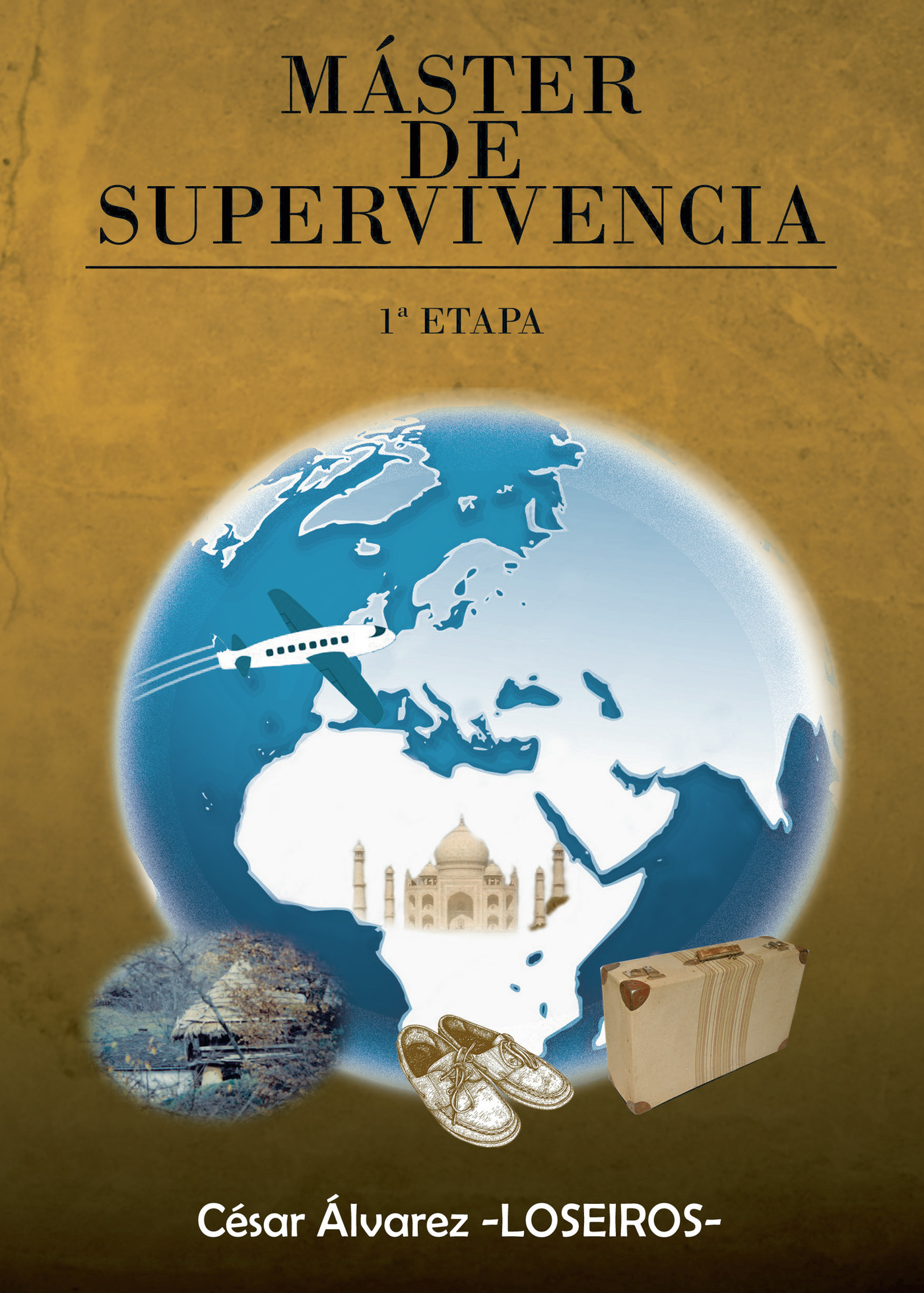 Portada de Máster de supervivencia