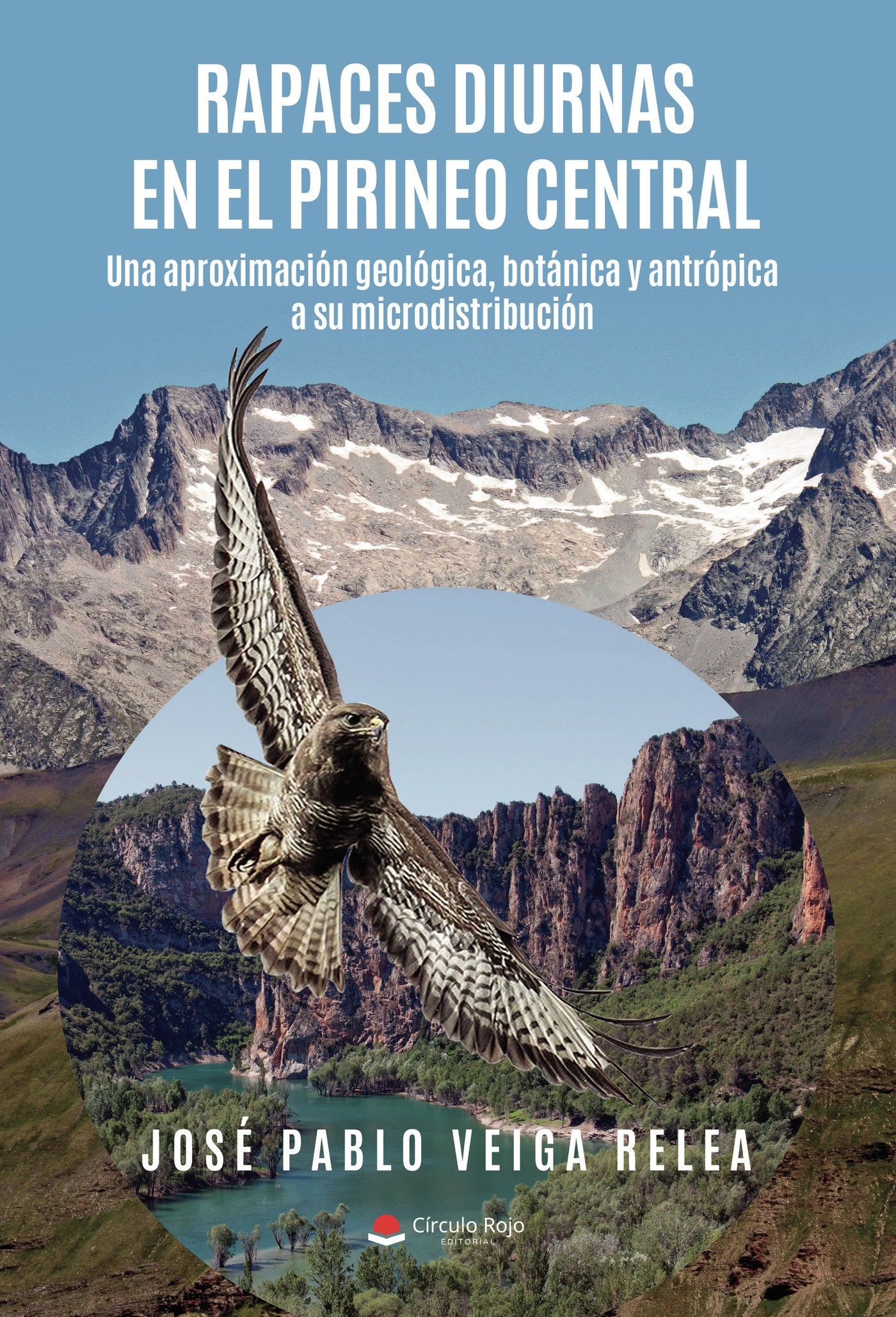 Portada de Rapaces diurnas en el Pirineo Central