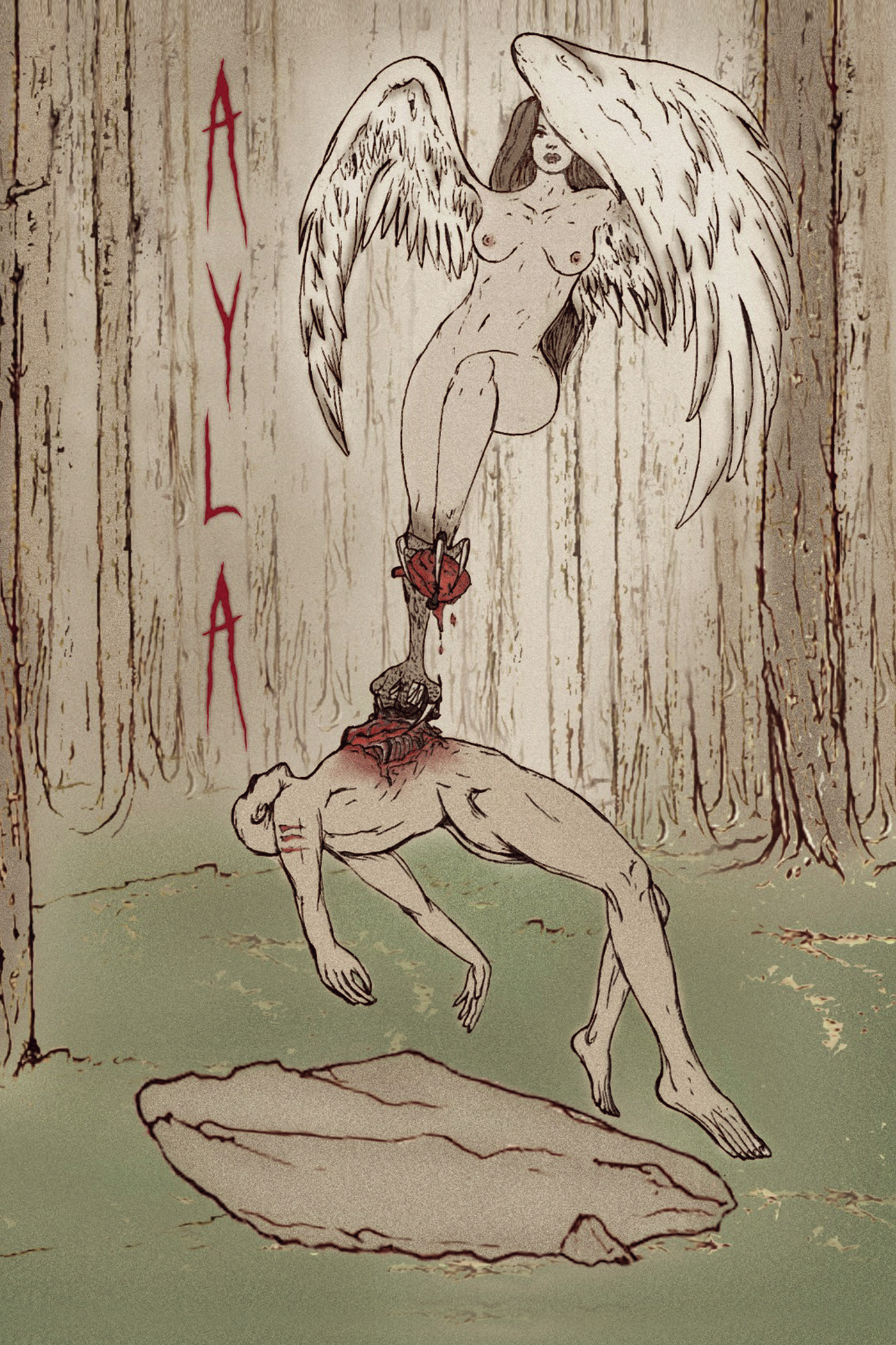 Portada de Ayla