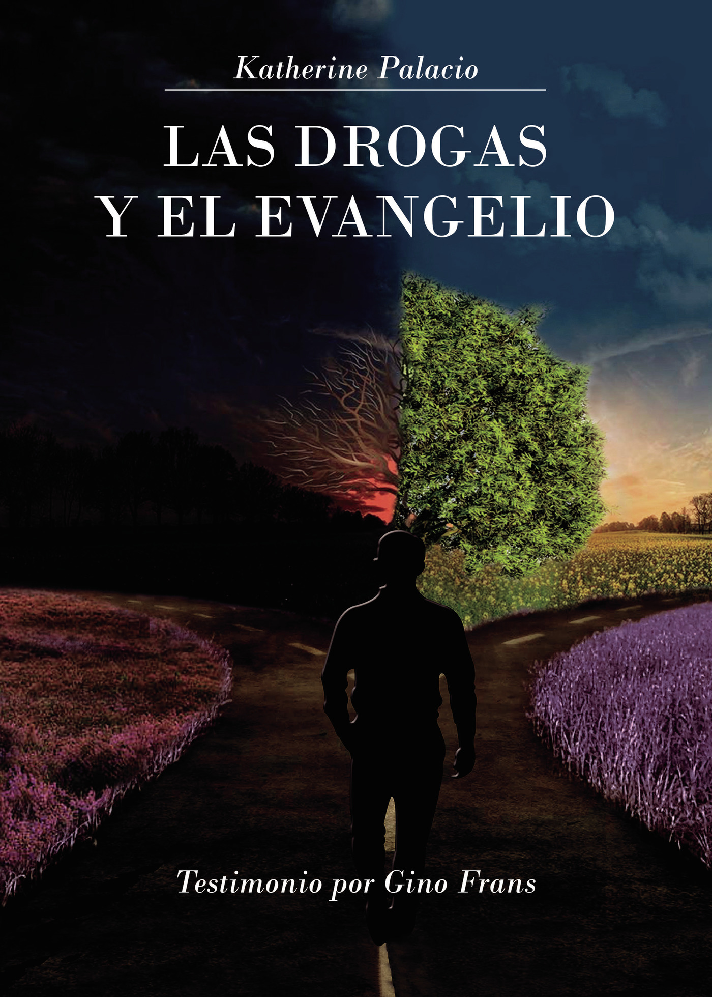 Portada de Las drogas y el evangelio