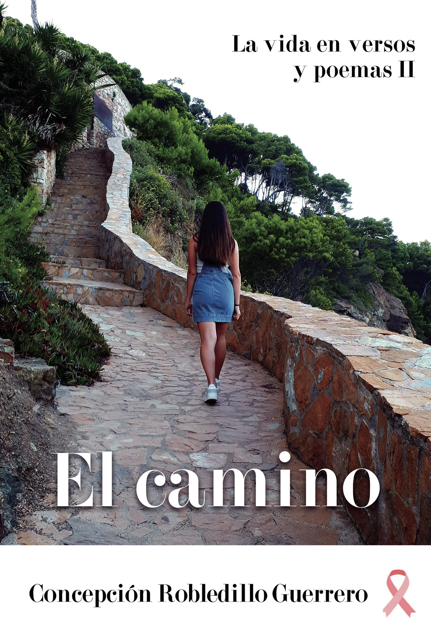 Portada de El camino