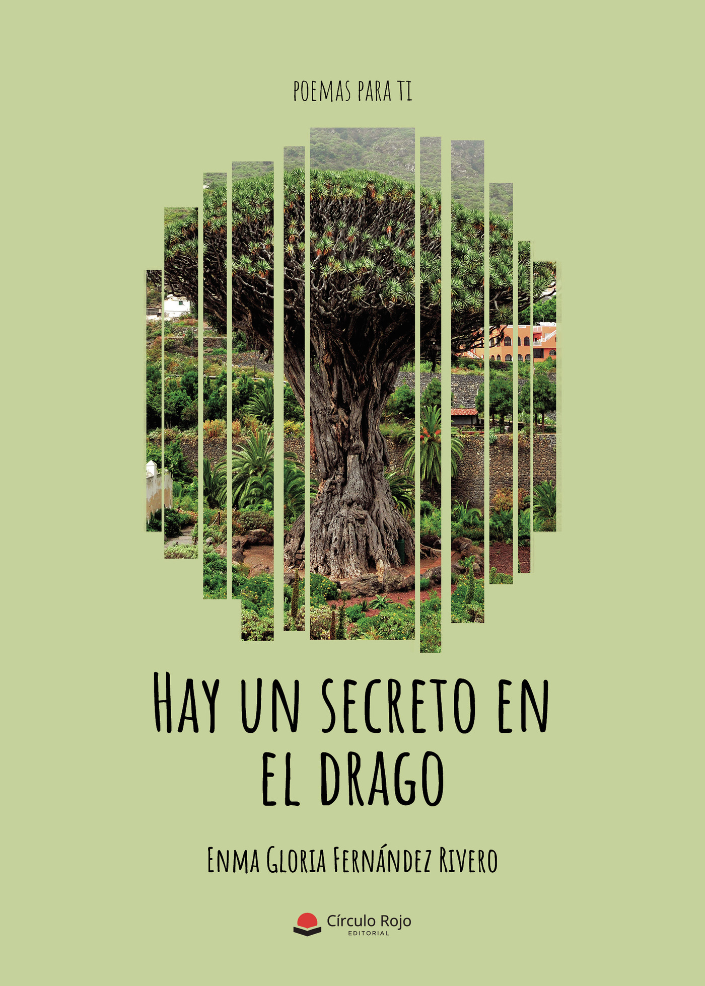 Portada de Hay un secreto en el drago
