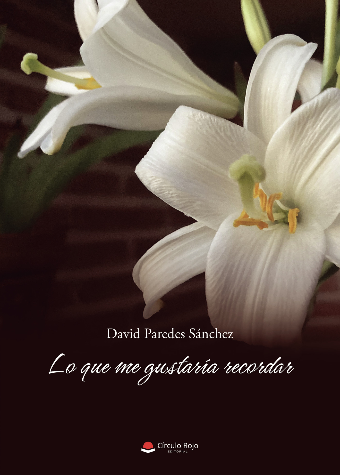 Portada de Lo que me gustaría recordar · David Paredes Sánchez