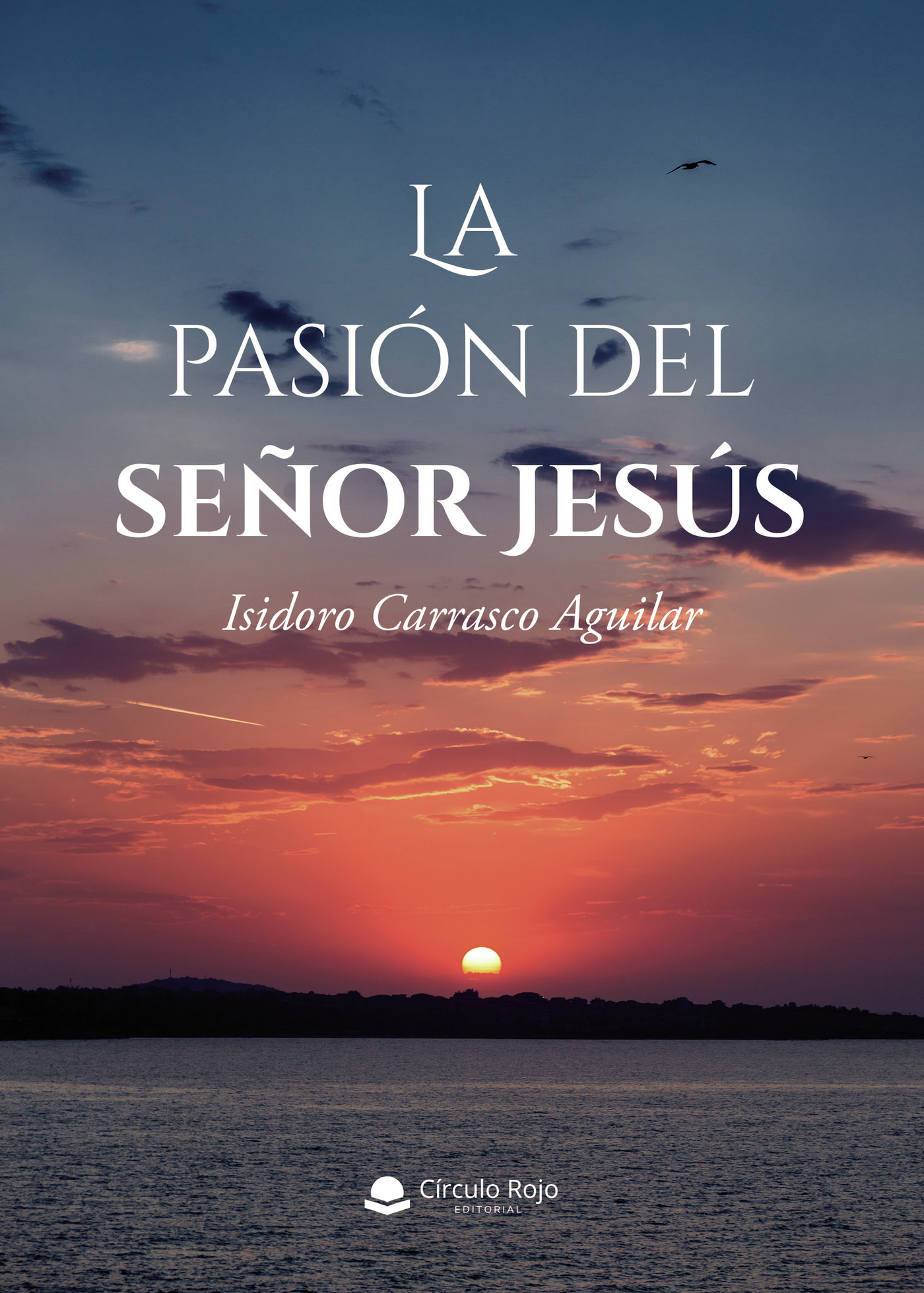 Portada de La pasión del señor Jesús
