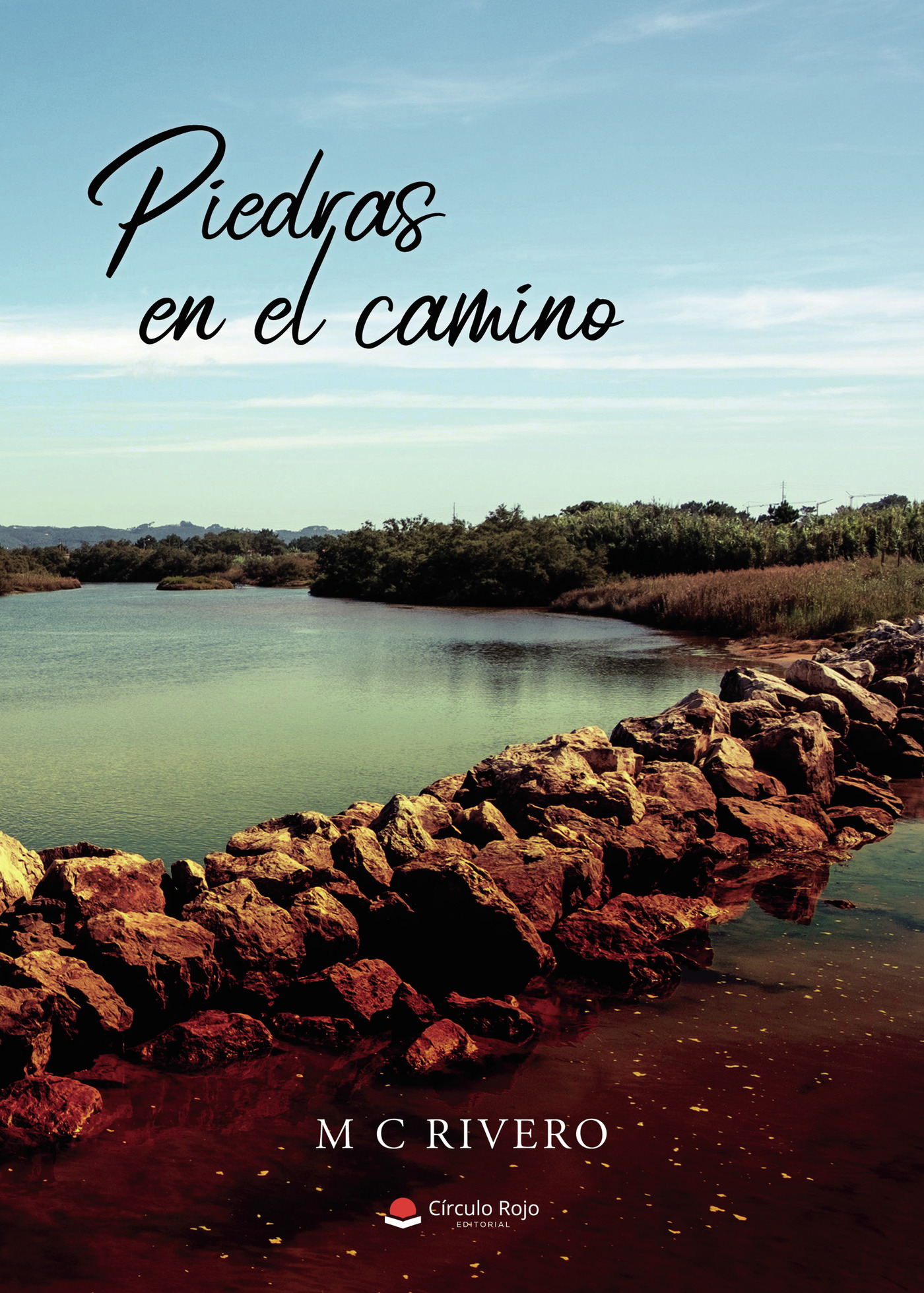 Portada de Piedras en el camino