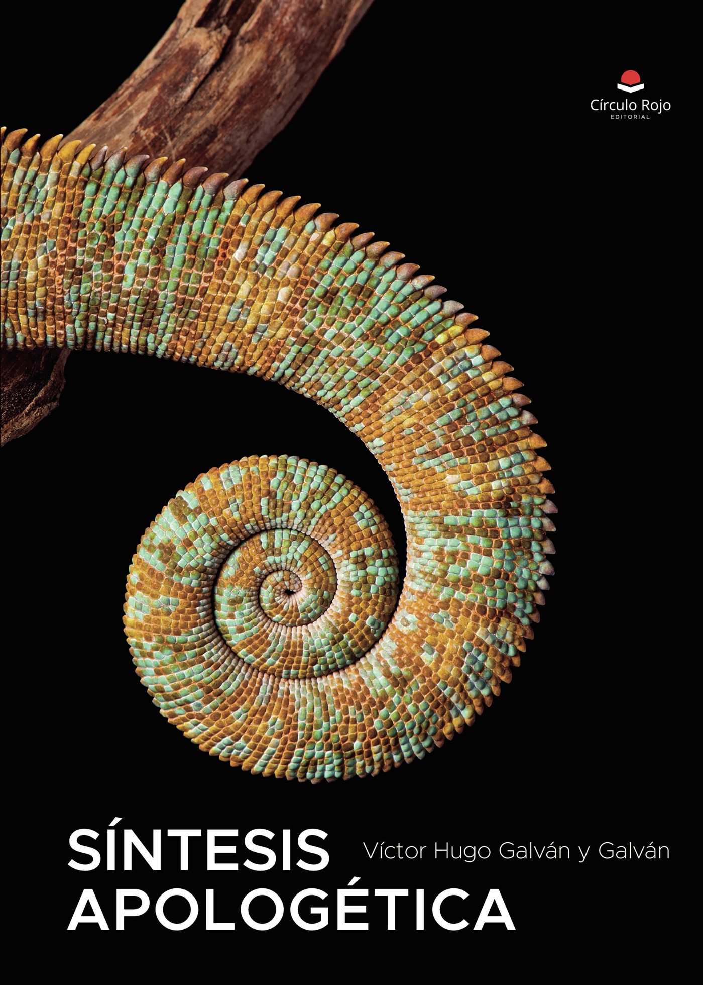 Portada de Síntesis apologética
