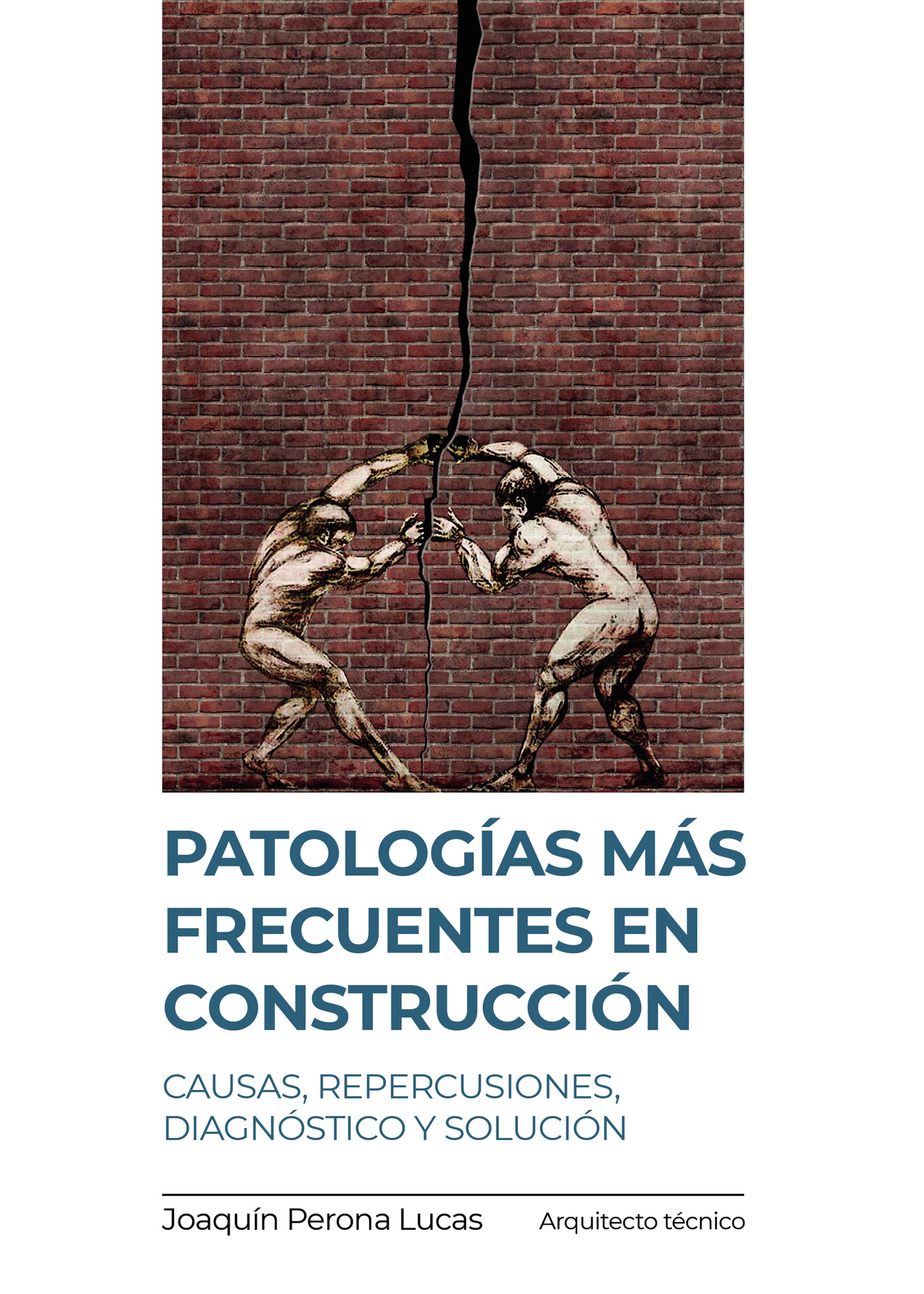 Portada de Patologias mas frecuentes en construcción