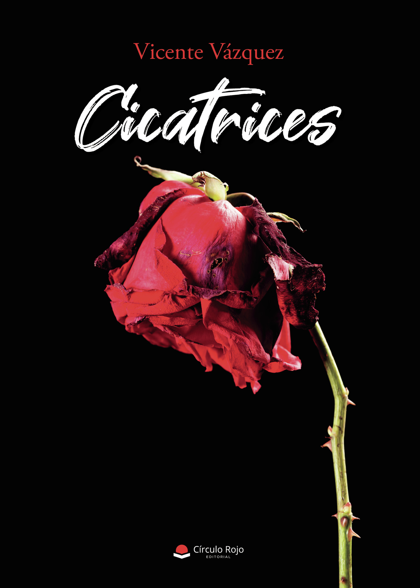 Portada de Cicatrices · Vicente Vázquez