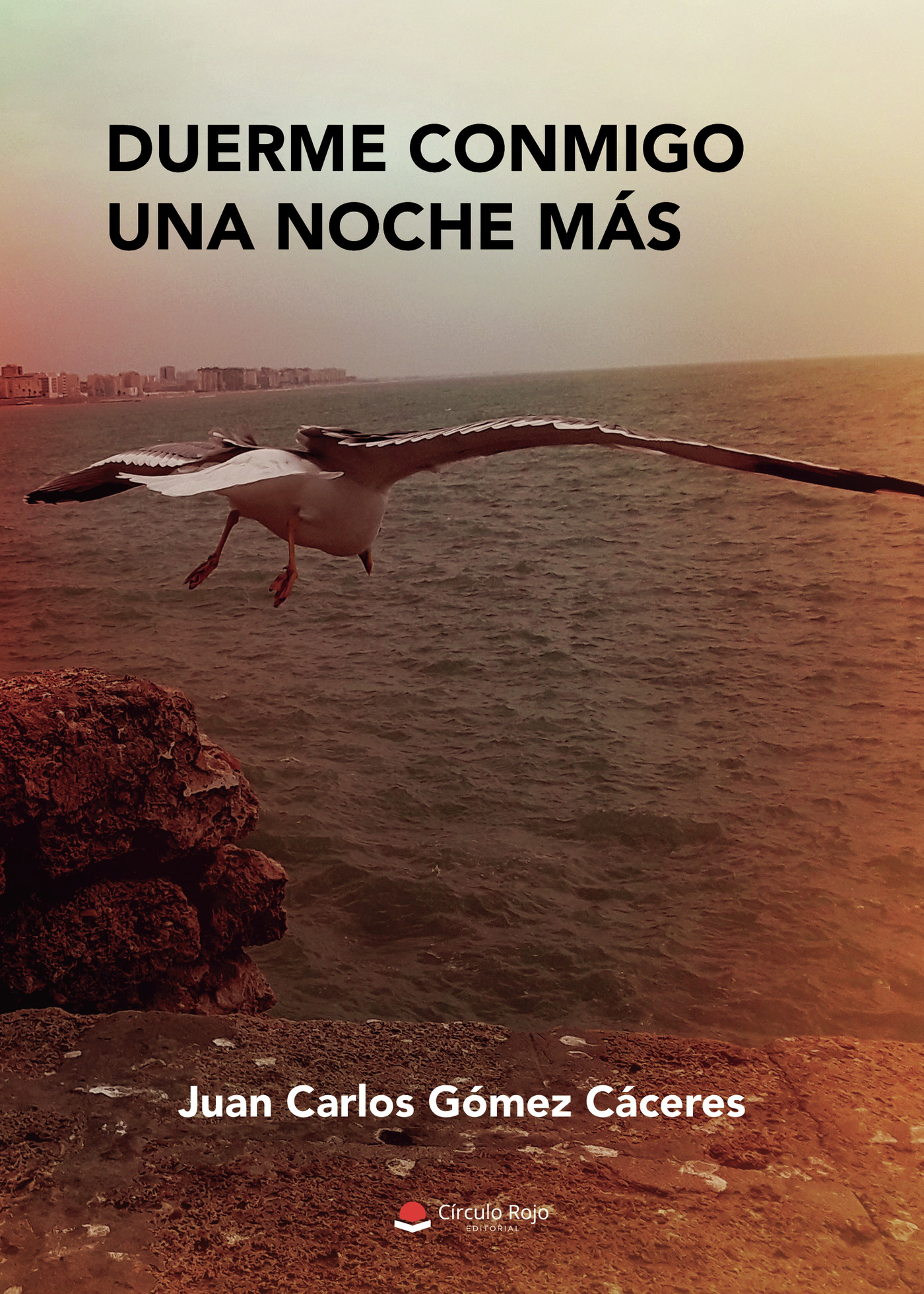 Portada de Duerme conmigo una noche mas