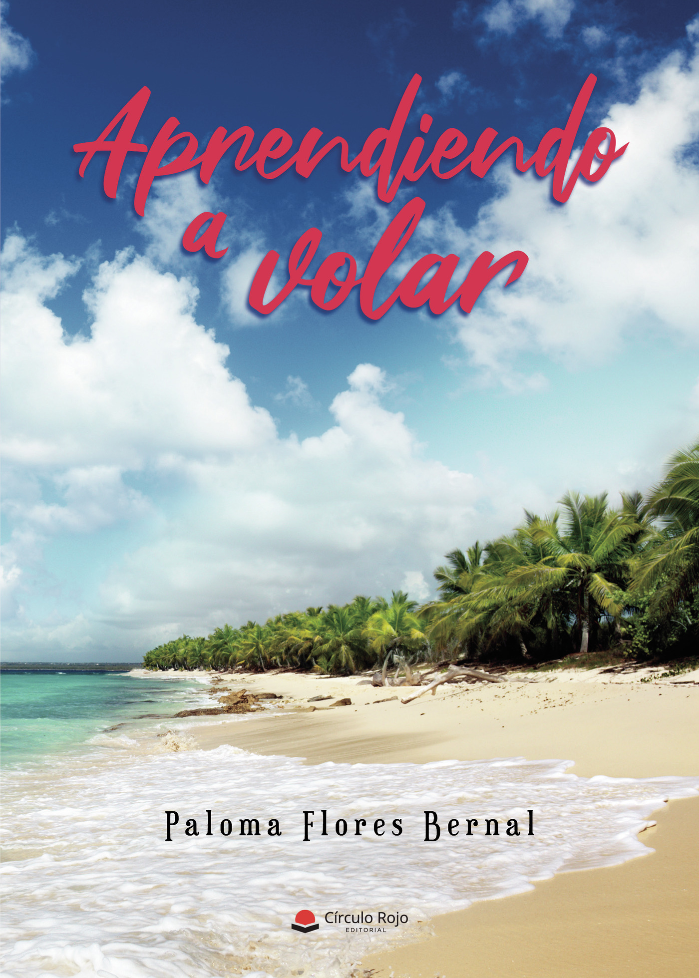 Portada de Aprendiendo a volar