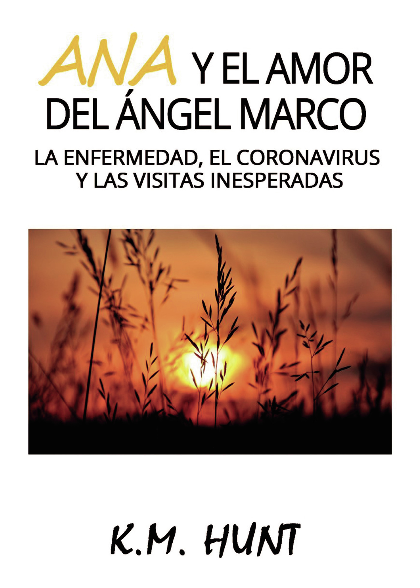 Portada de Ana y el amor del Ángel Marco · KM Hunt