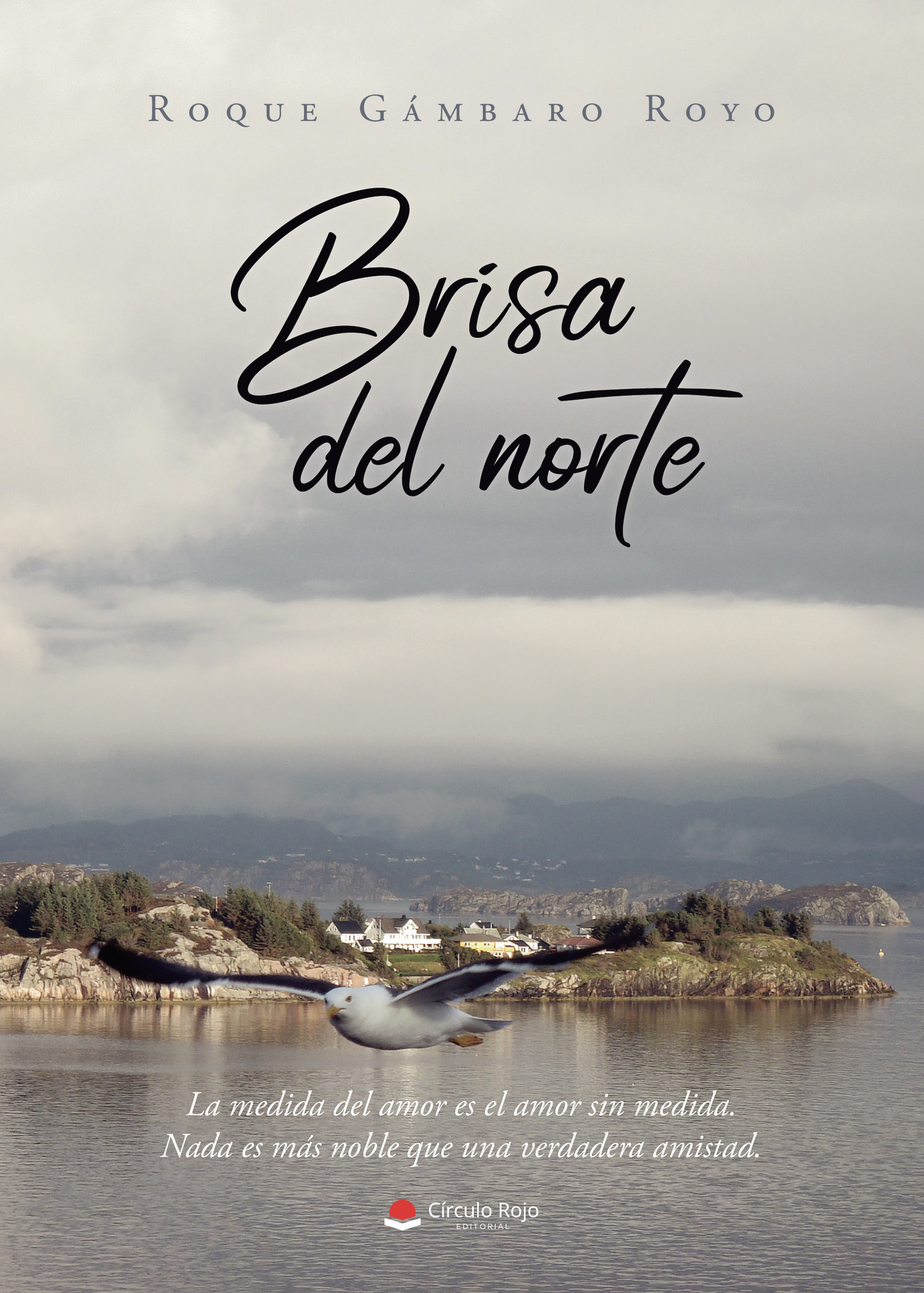 Portada de Brisa del norte