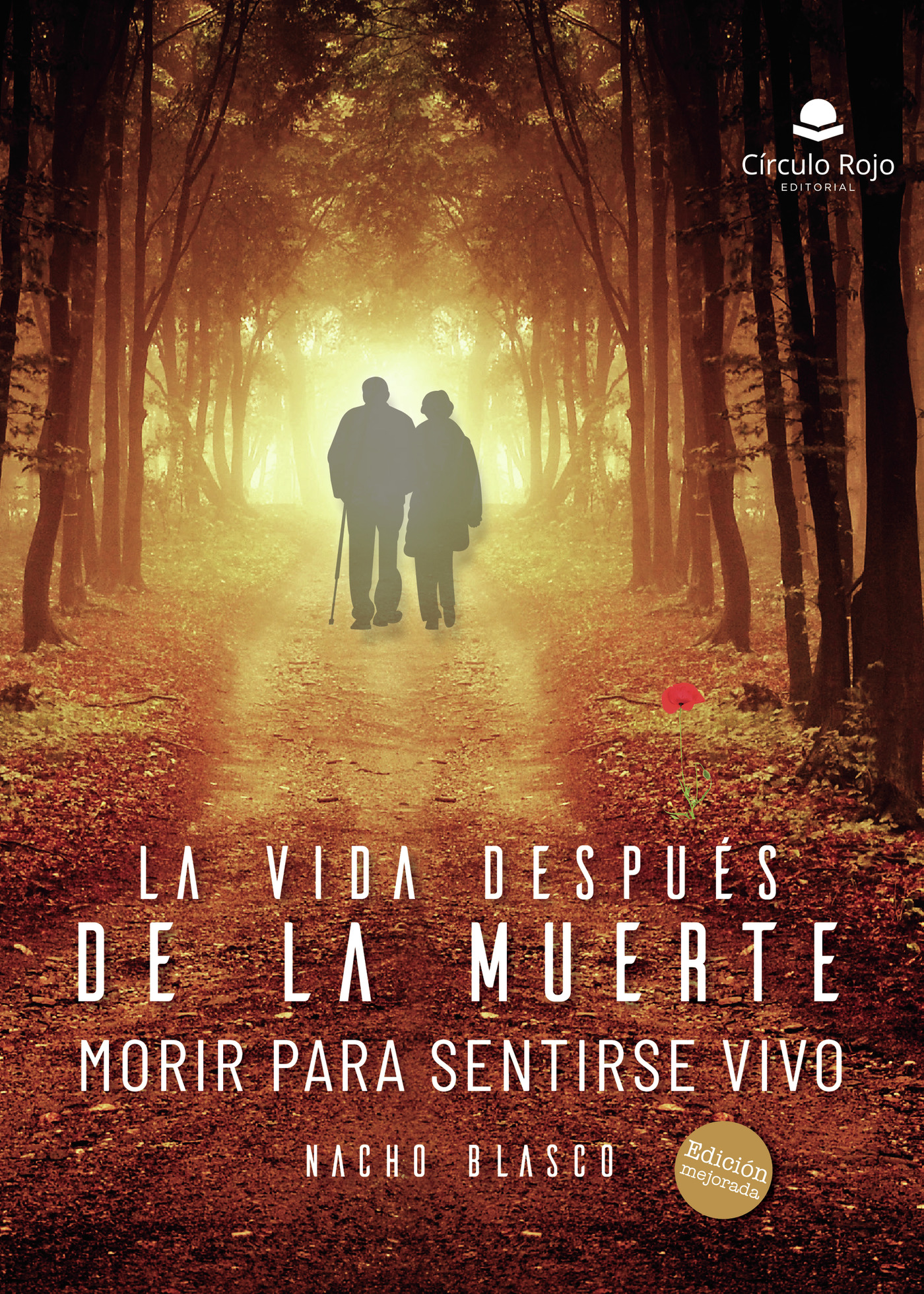 Portada de La vida después de la muerte (morir para sentirse vivo)