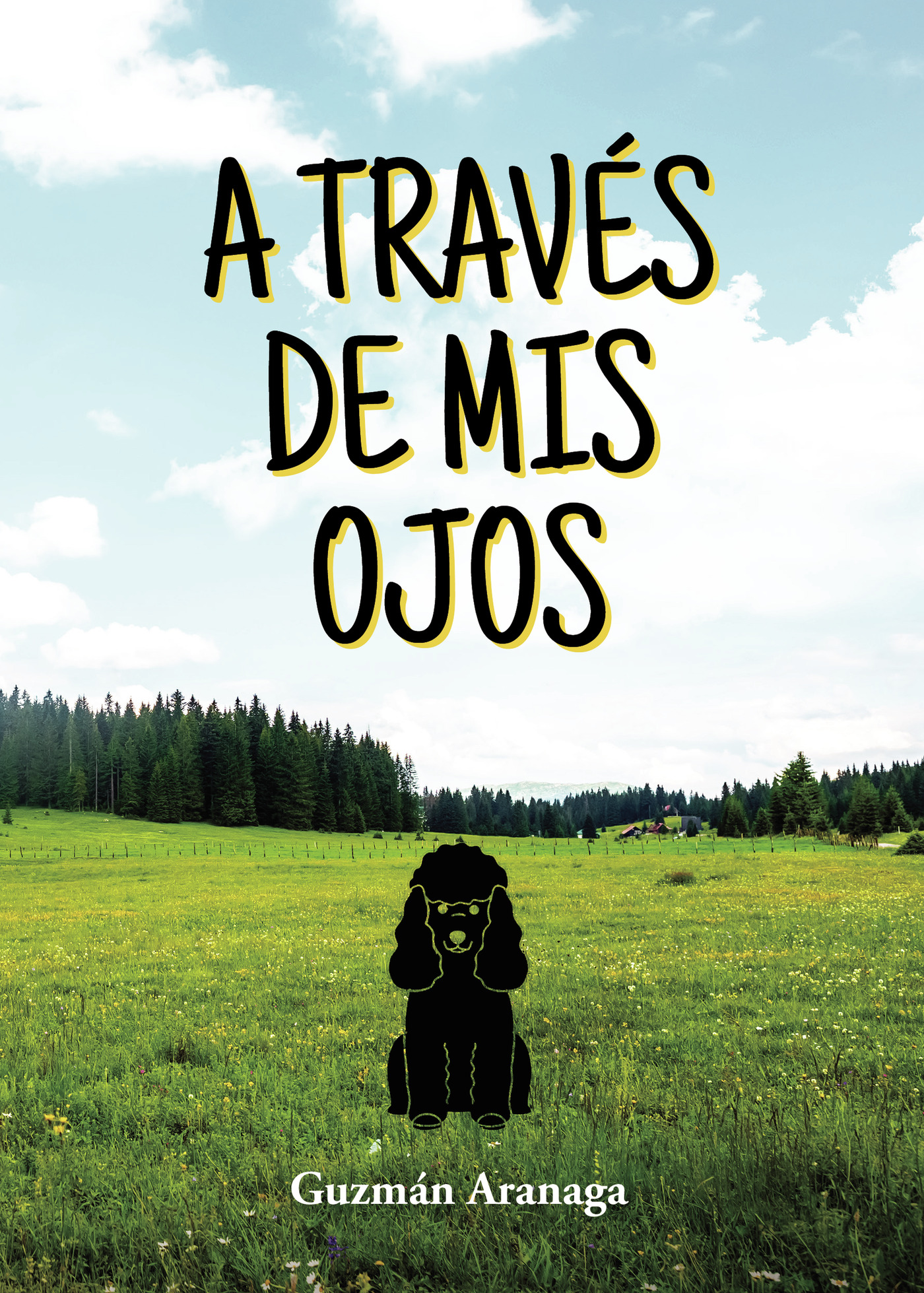 Portada de A través de mis ojos