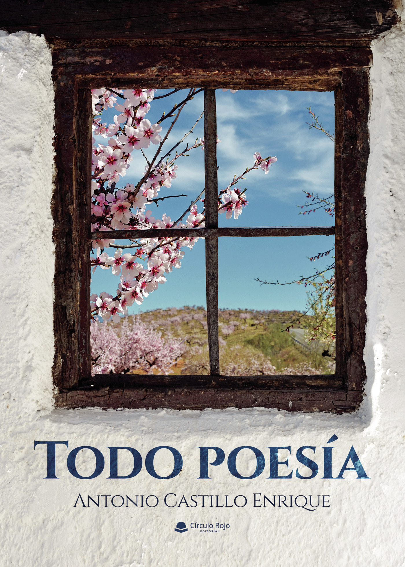 Portada de Todo poesía