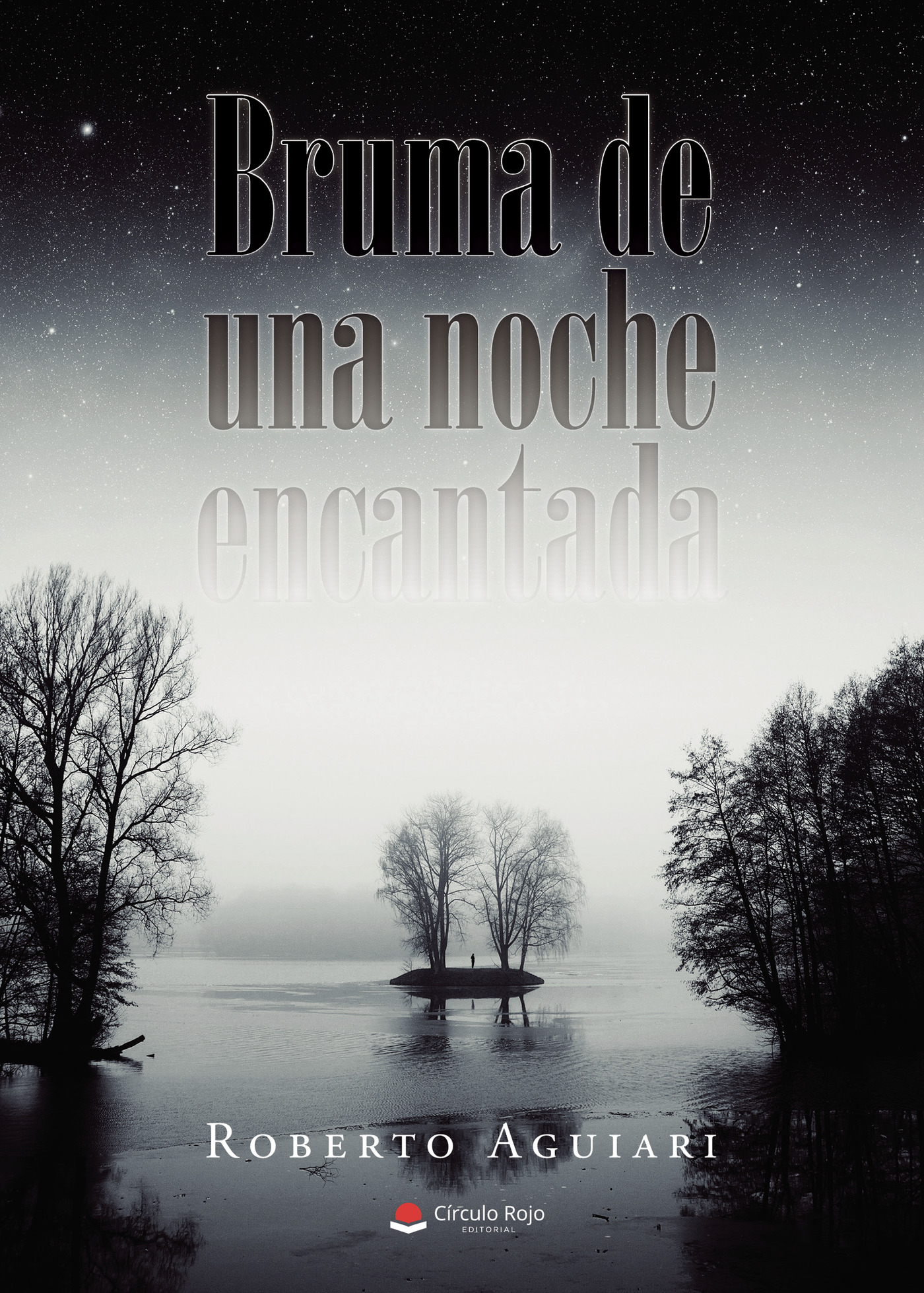 Portada de Bruma de una noche encantada