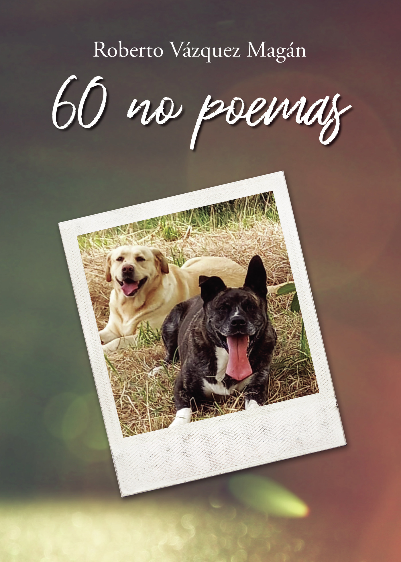 Portada de 60 no poemas · Roberto Vazquez Magan